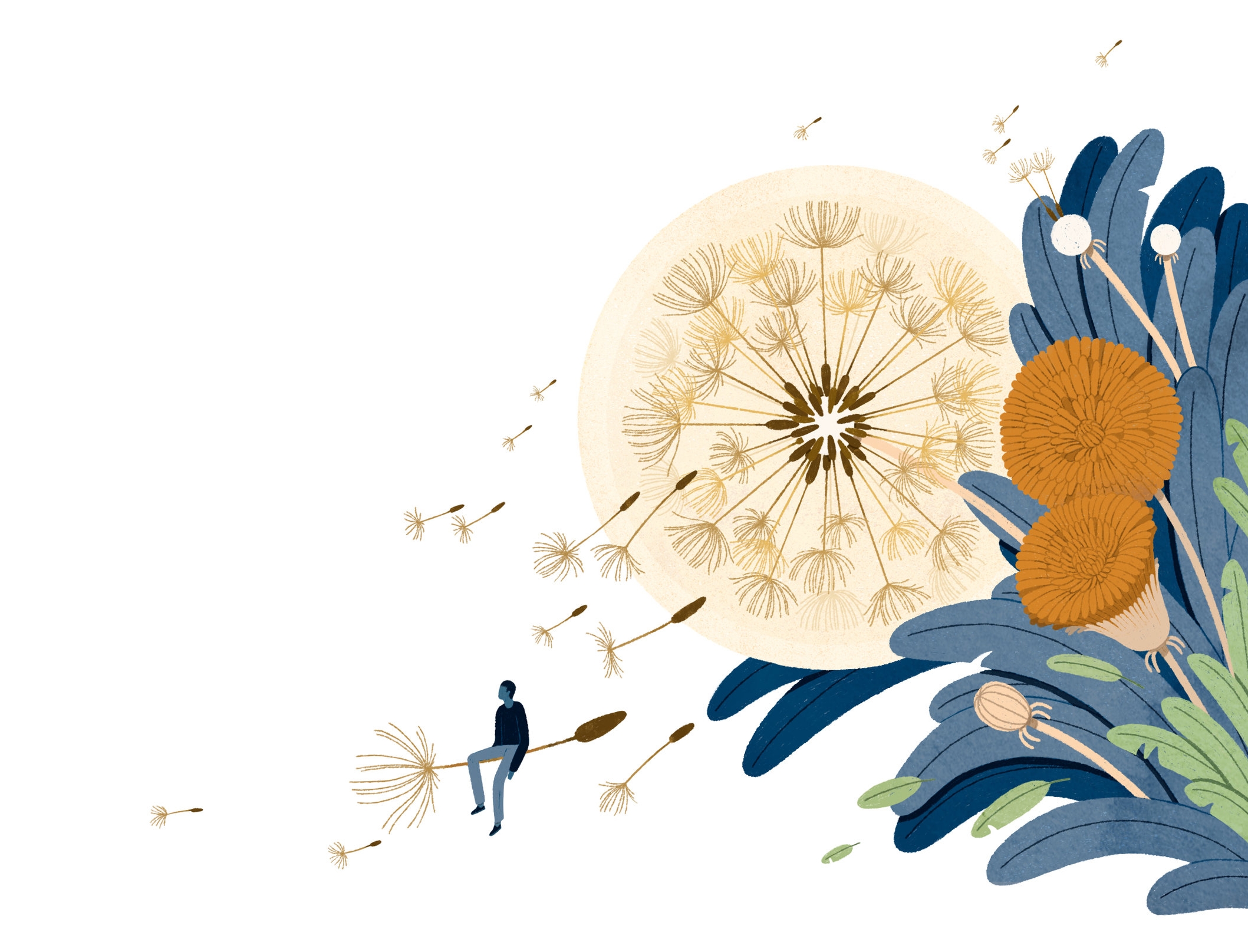 Helping People With Dementia | Compassion and Choices