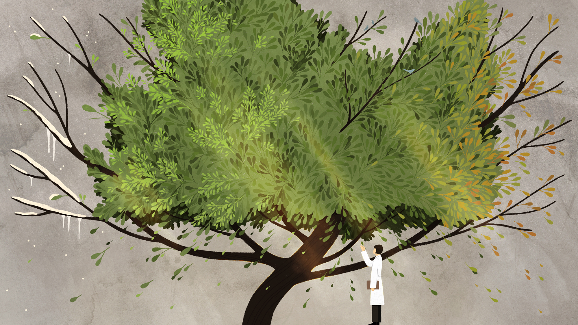 Turning a New Leaf : Apoptosis | Genentech