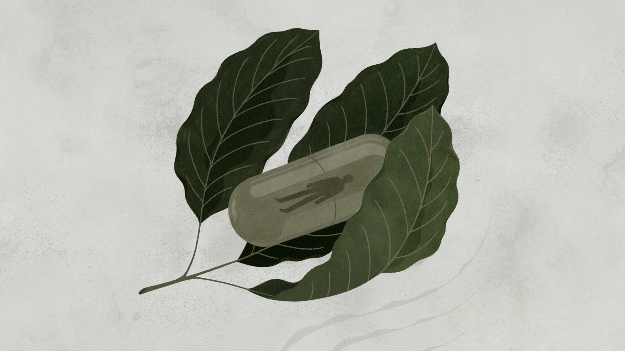 Kratom | Outside Magazine