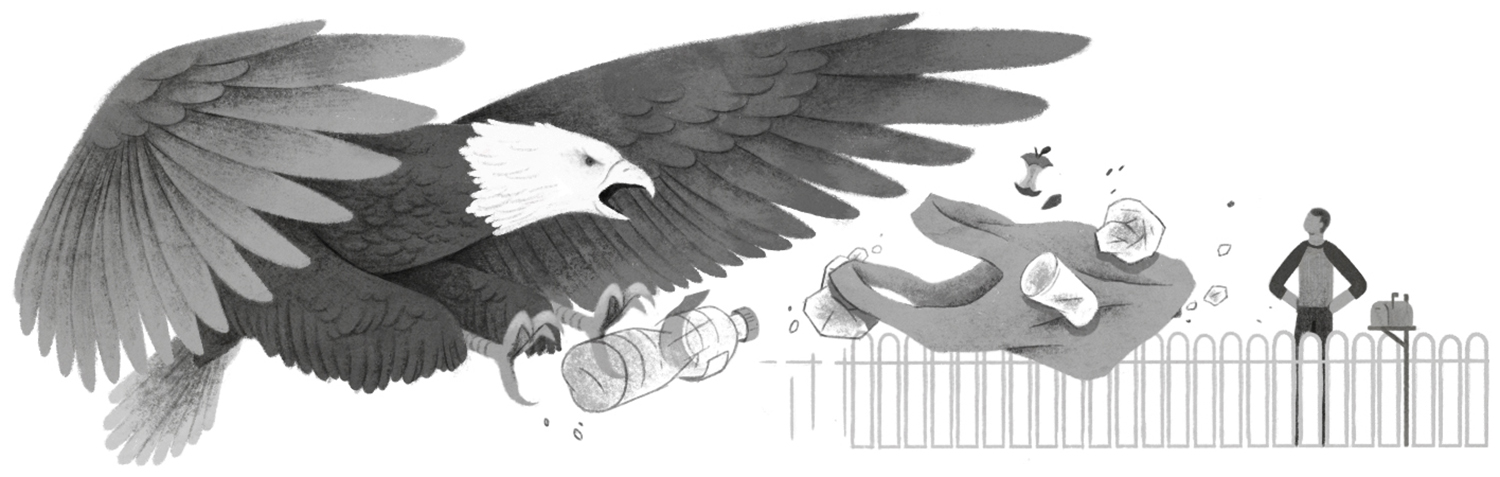 Where Eagles Dare | Sketchbook Section