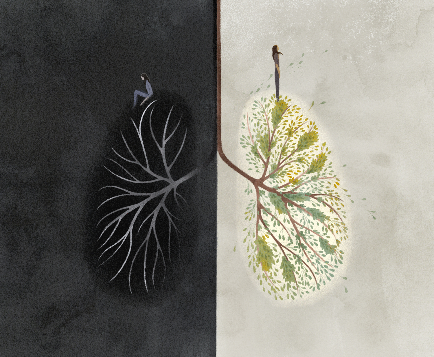When is a Transplant Worth It? | Opinion Section