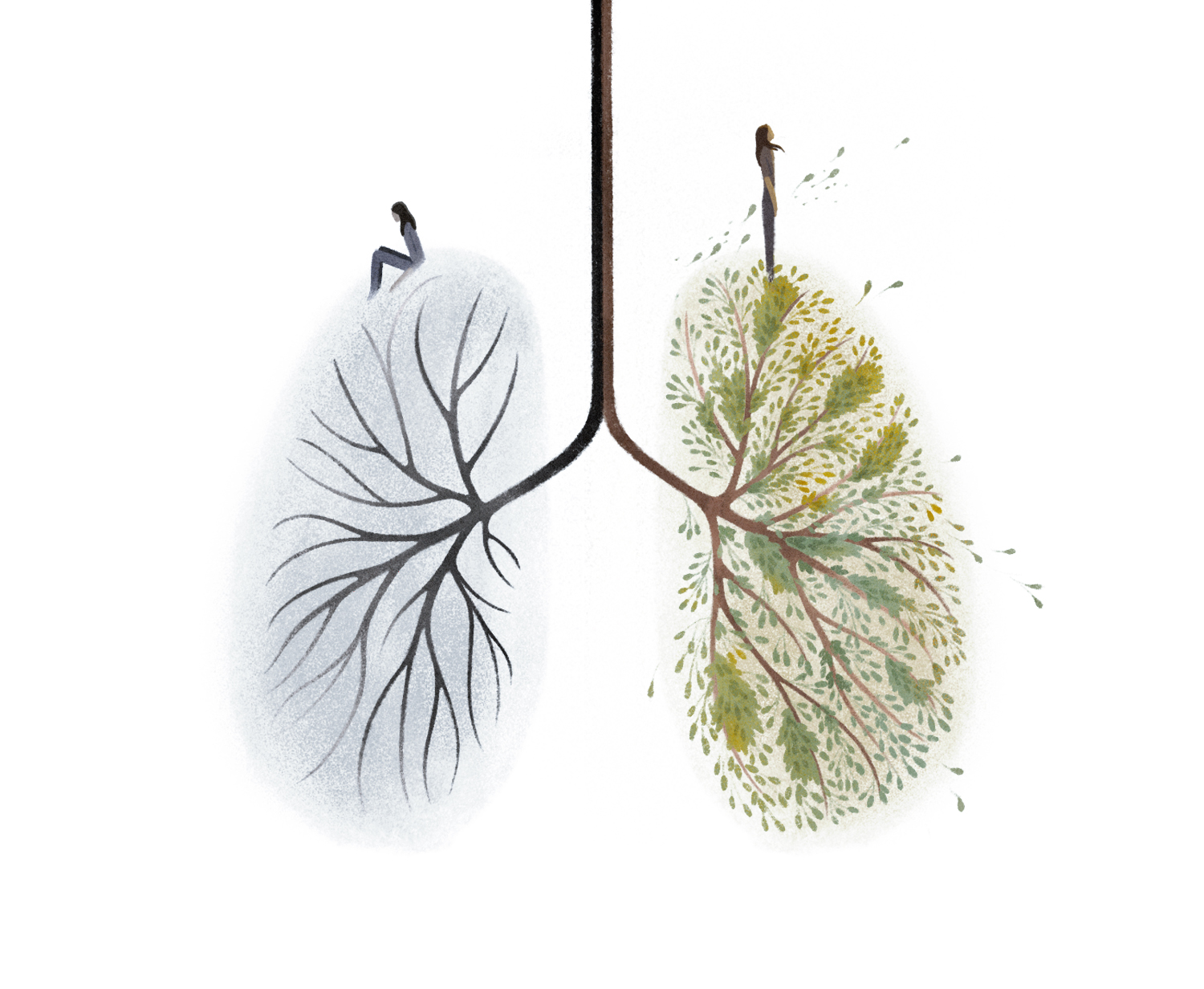 nyt_transplantSuccess_print_v01.jpg
