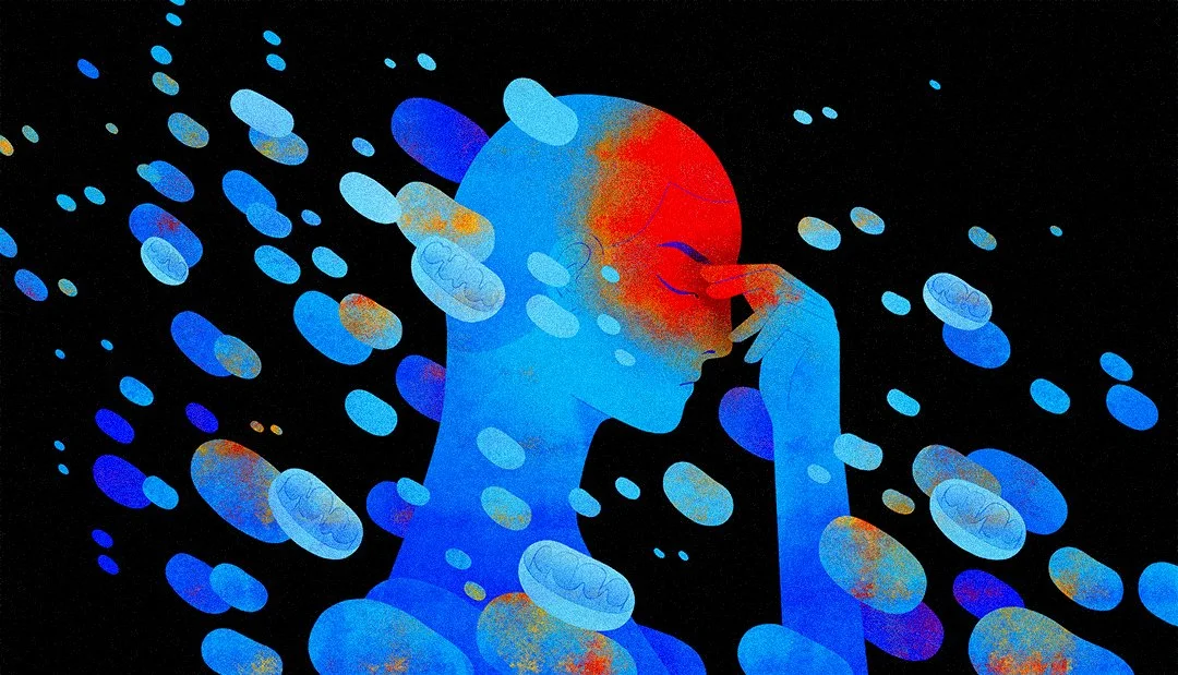 QUANTA MAGAZINE | MITOCHONDRIA MAY HOLD KEYS TO ANXIETY AND MENTAL HEALTH