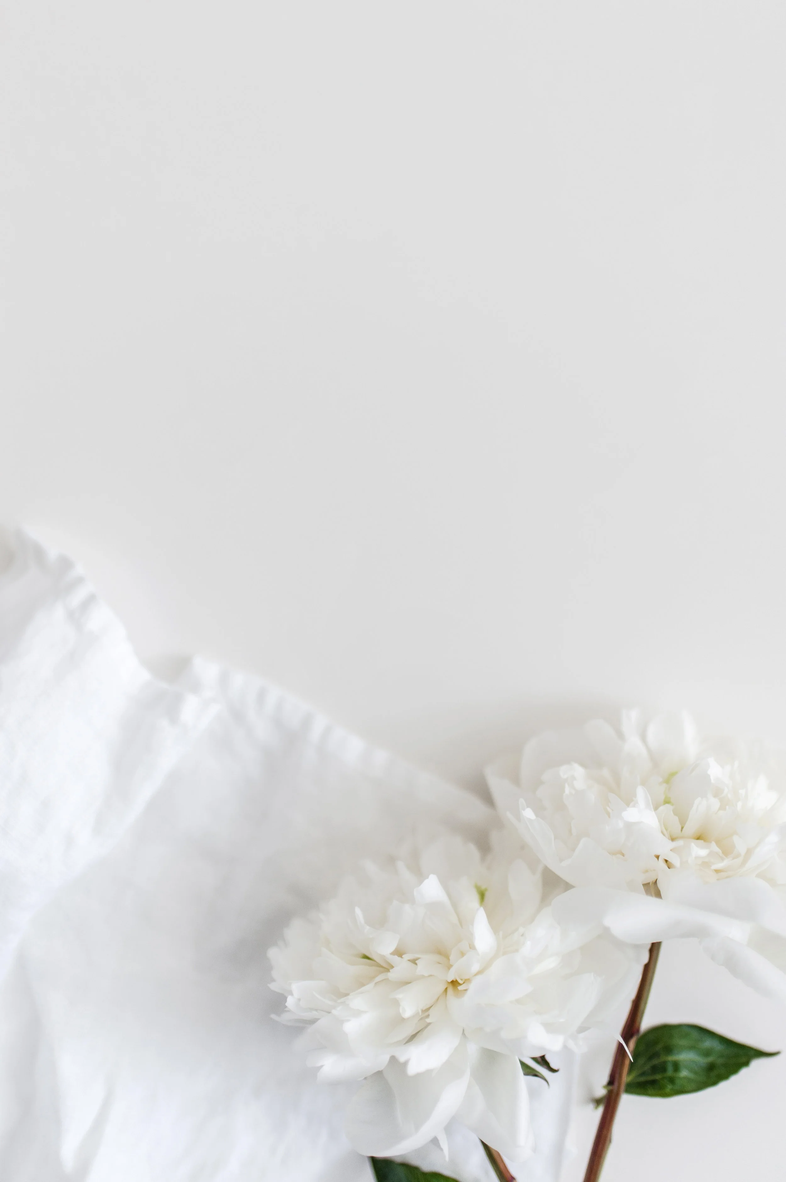 KATEMAXSTOCK-3191.jpg
