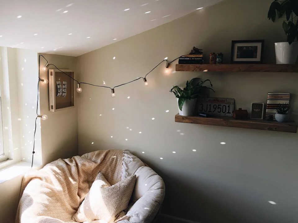 discovered the magic of a disco ball in the sun, thanks to some of my favorite home designers on instagram