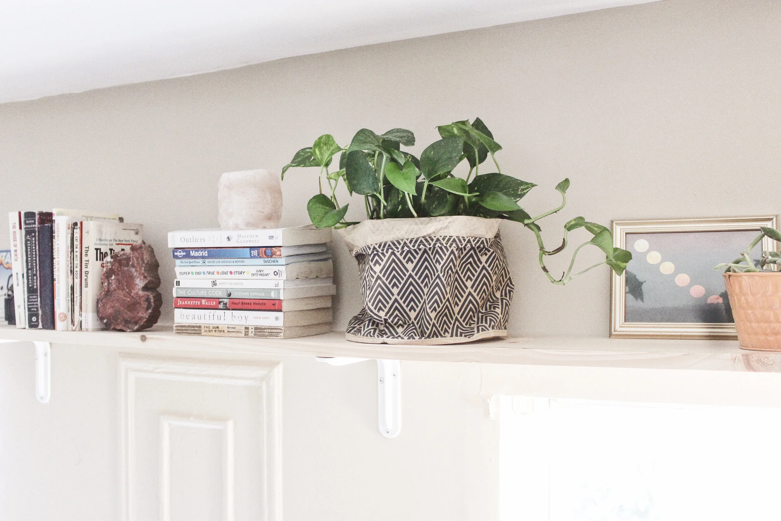 plant bag: h&m home petrified wood bookend: grandma's basement
