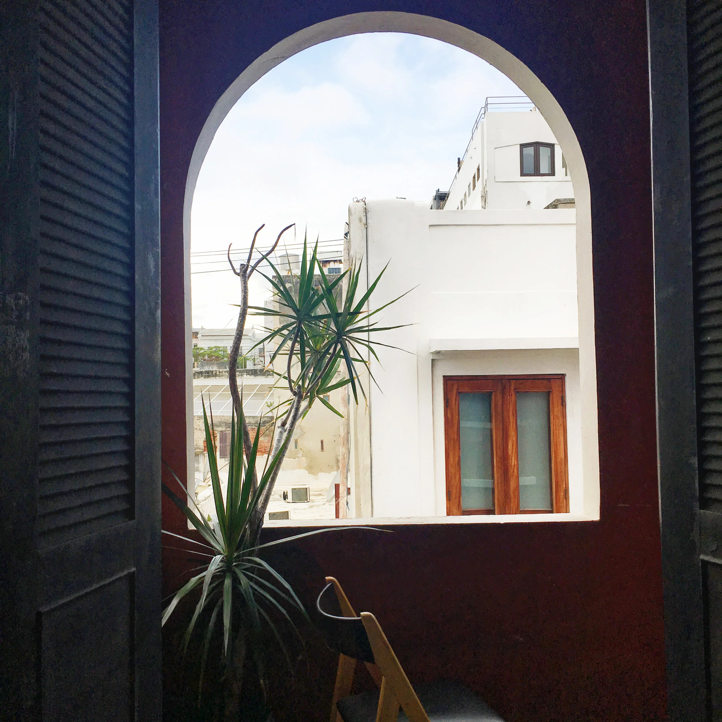woke up to this view