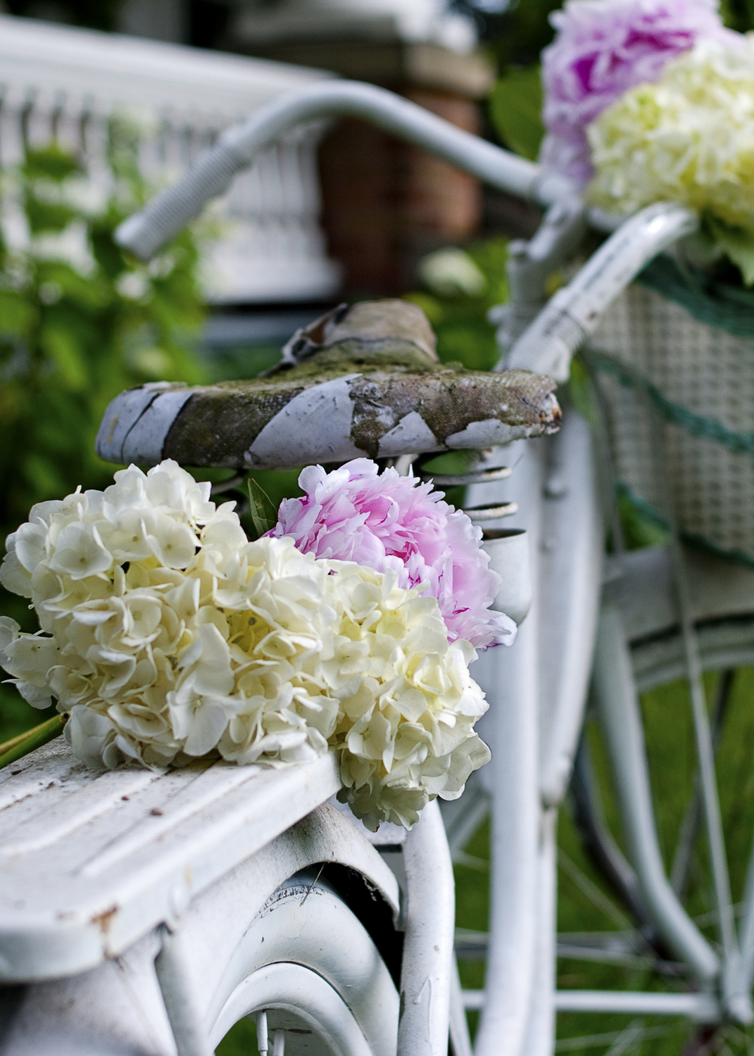 bicycle4.jpg