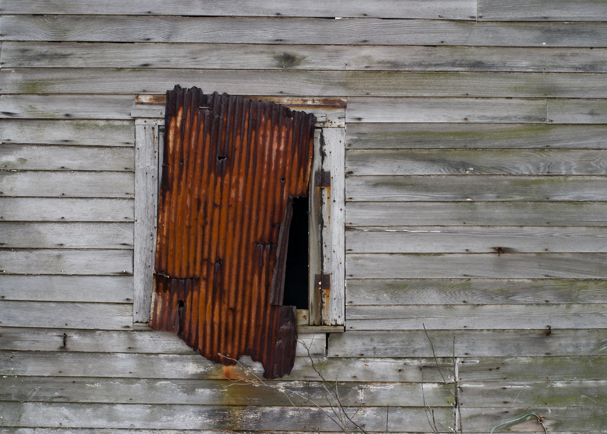window3.jpg