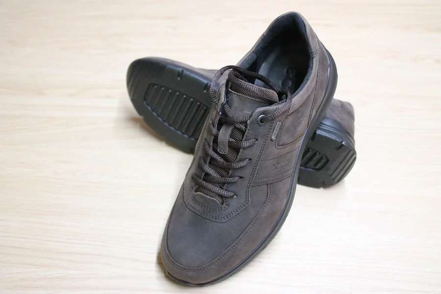 REF:5481.ECCO.
