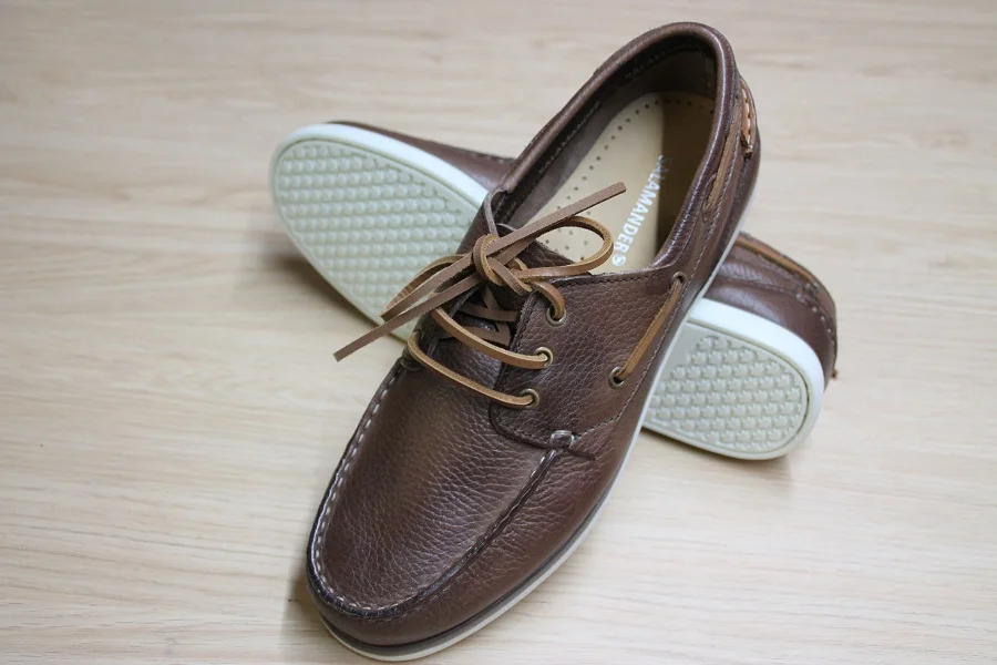 REF:5582.SALAMANDER.