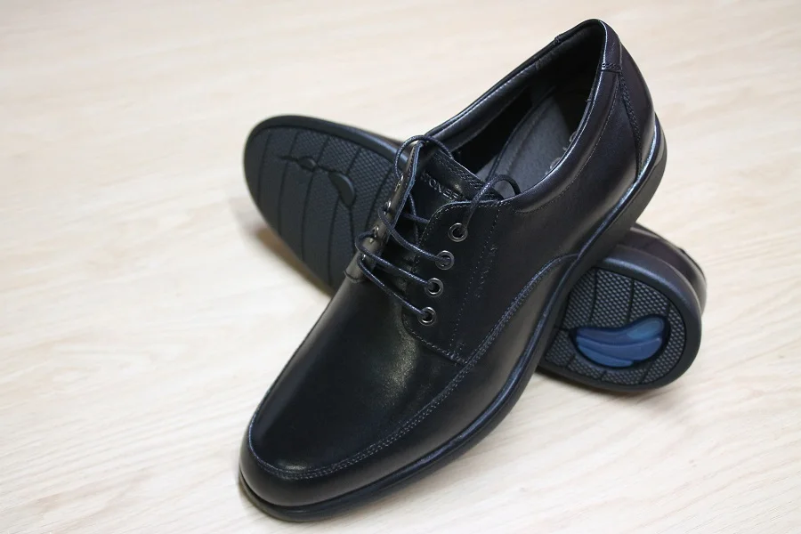 REF:5684.STONEFLY.