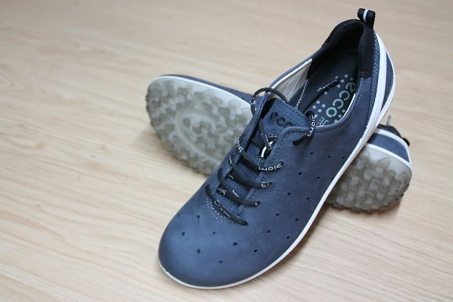 REF:5966.ECCO.
