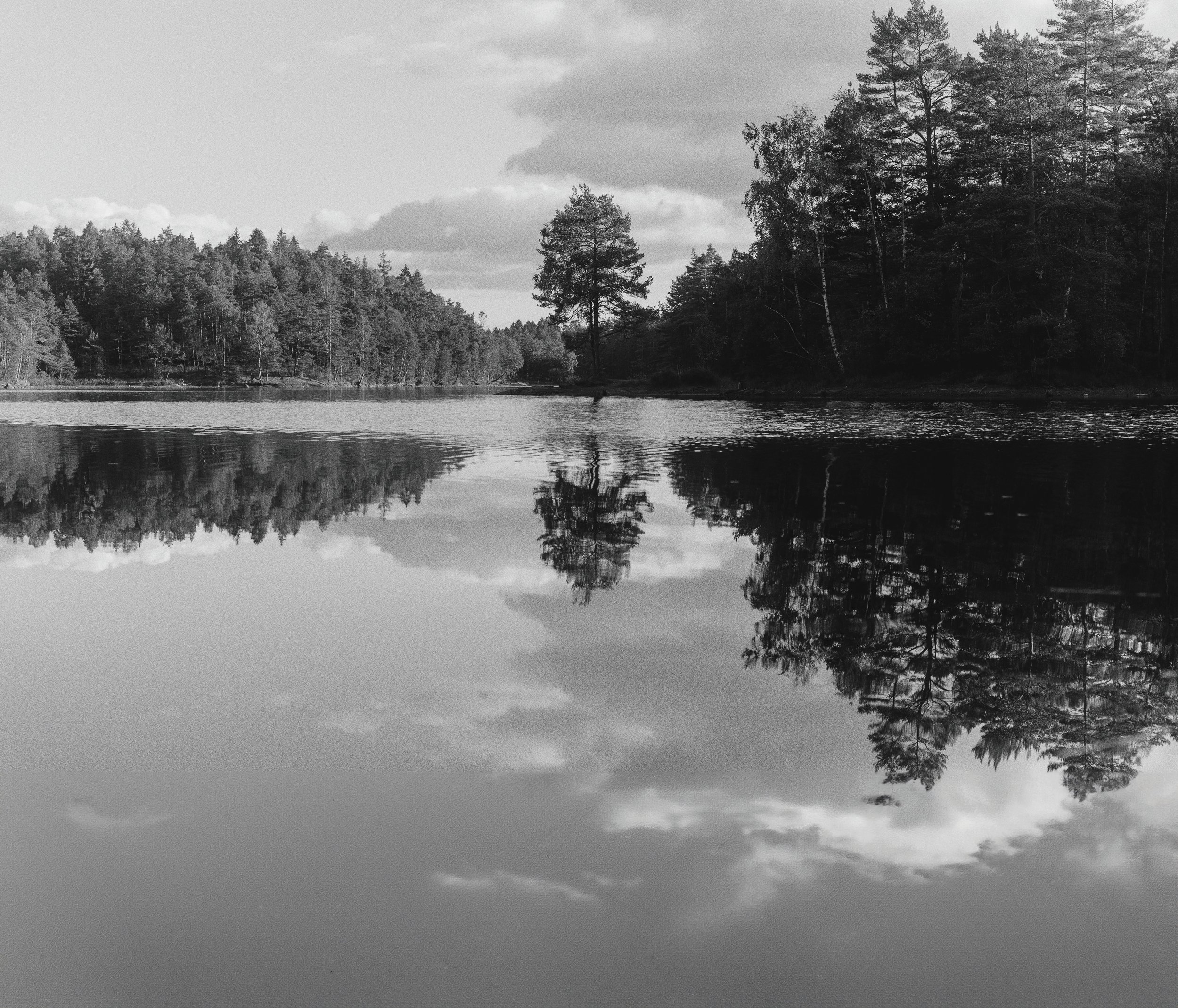 hans-ott-qecHY8j1jMU-unsplash - compressed.jpg