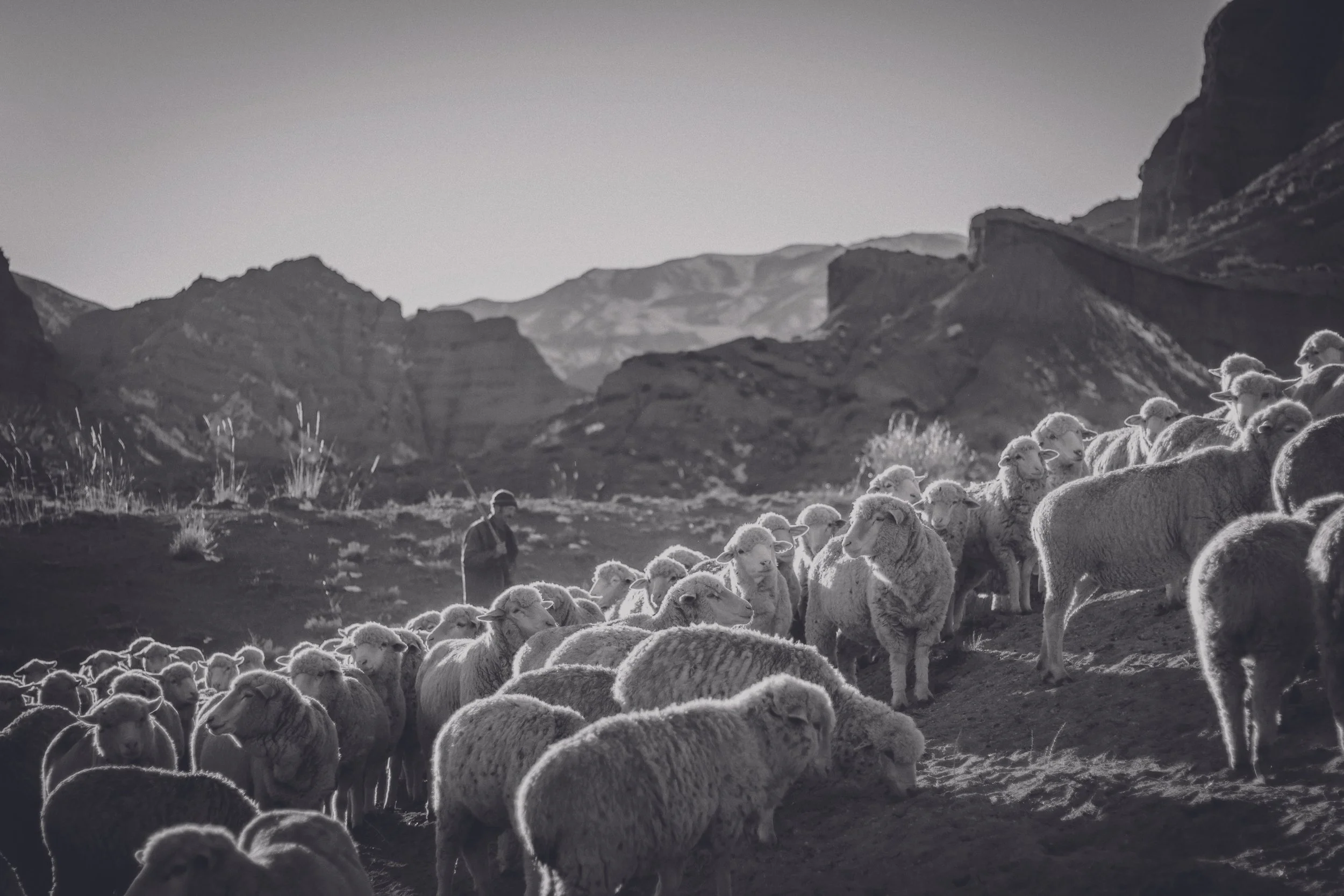 patrick-schneider-wczrs3Unfnk-unsplash_FINAL.jpg