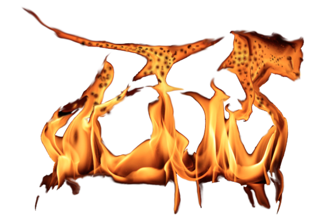 Screen Shot 2016-02-23 at 5.02.03 PM.png