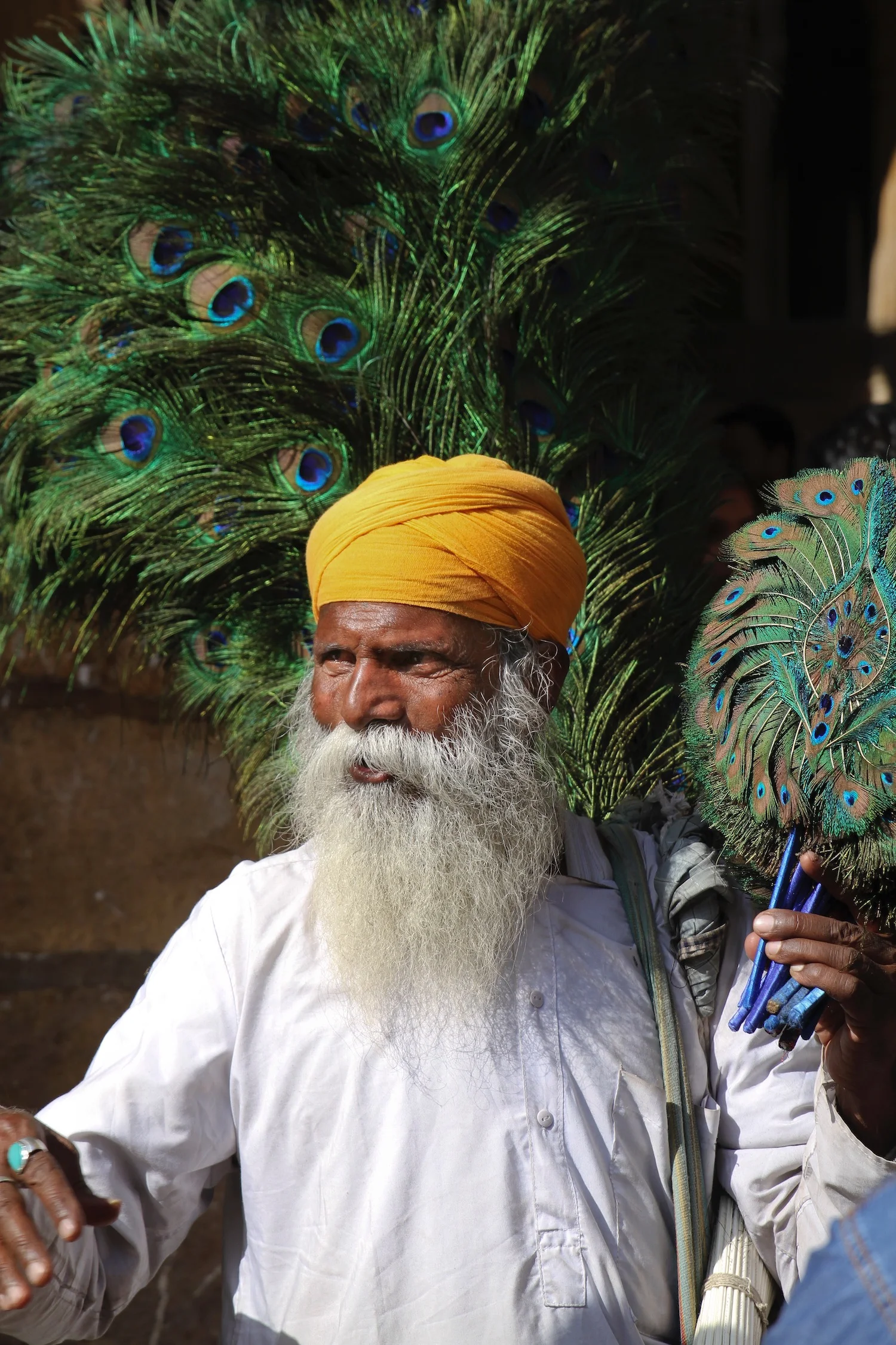 Man with Peacock Feathers