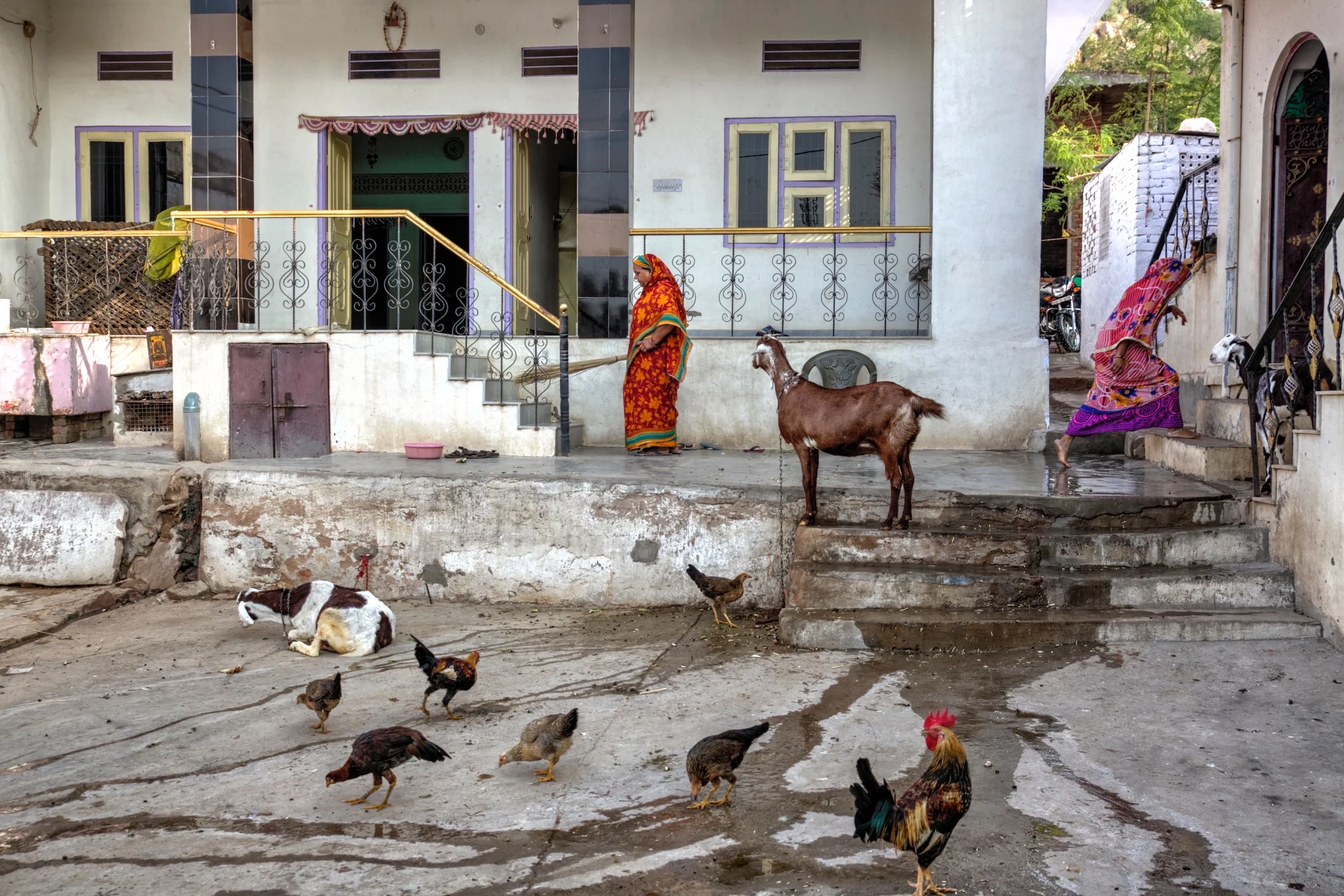 Indian Courtyard