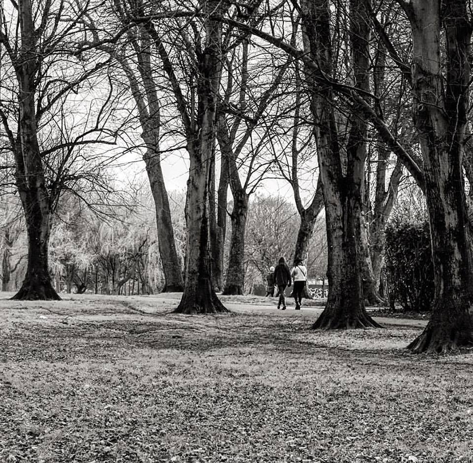  Herbert Park, Ballsbridge 