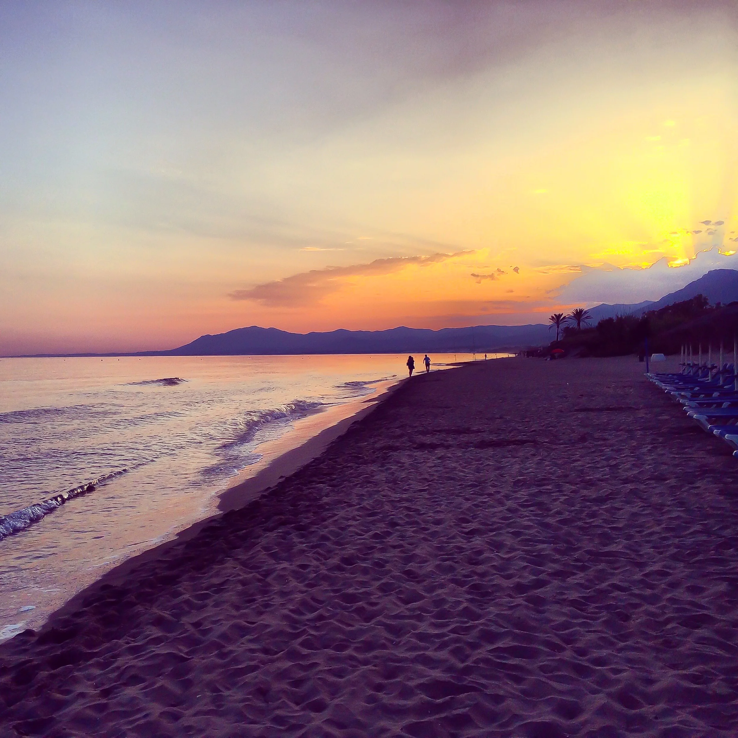  The Beach House, Marbella. 