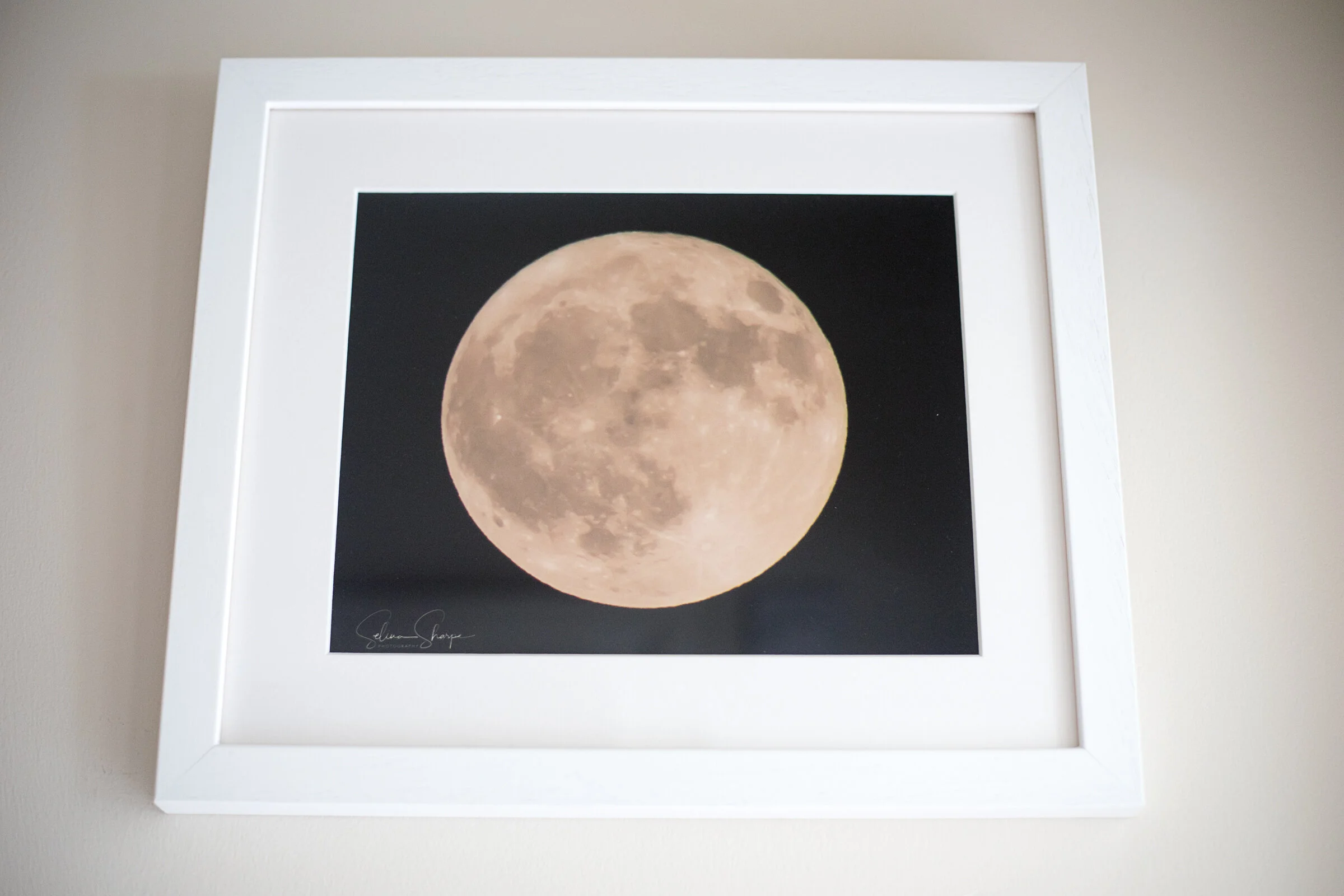 4T7A9900Buck Moon.jpg