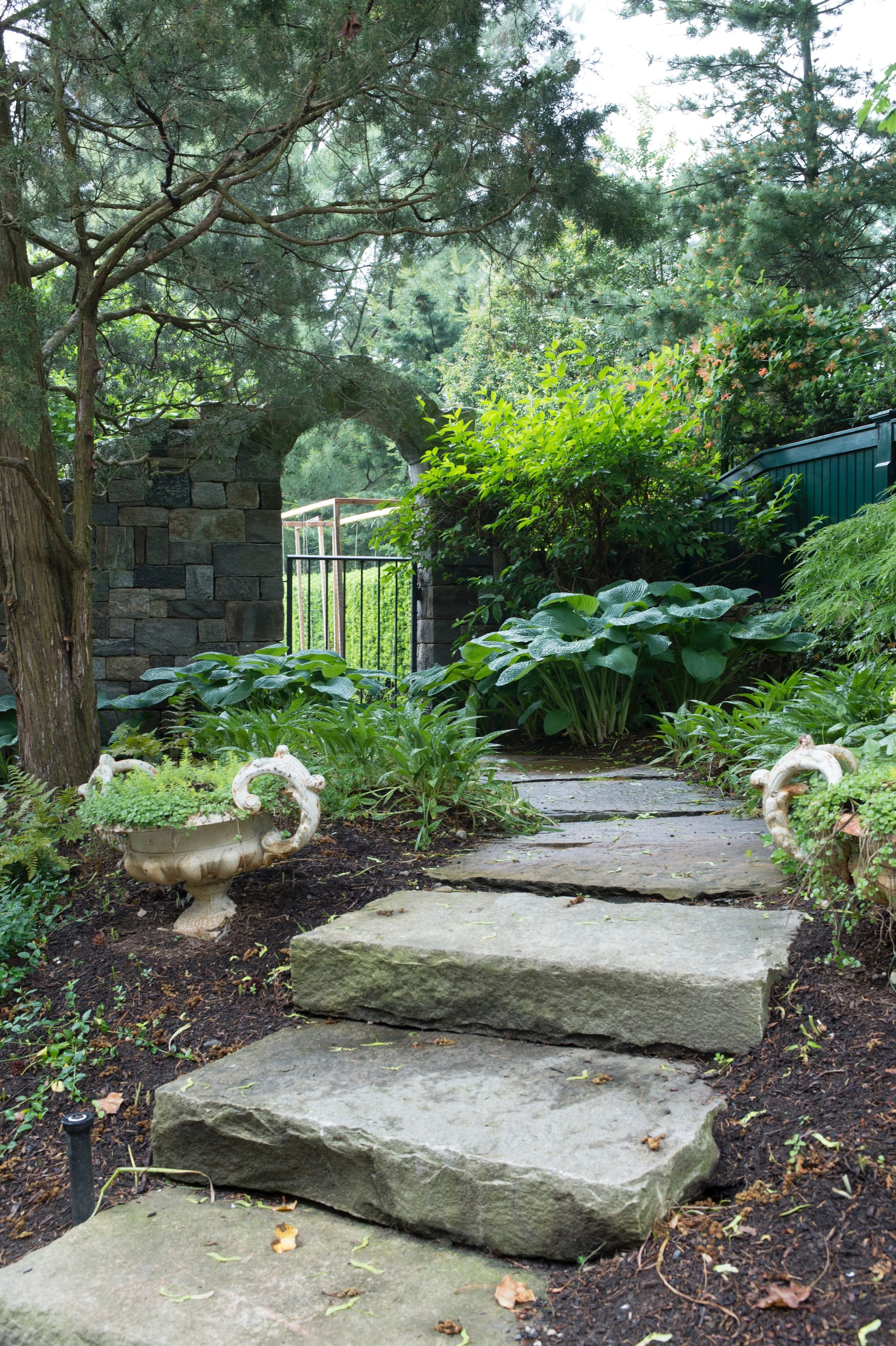 vegetable grdn other entry1304.jpg