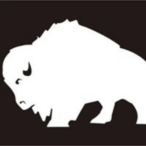 whitebuffalo.jpg