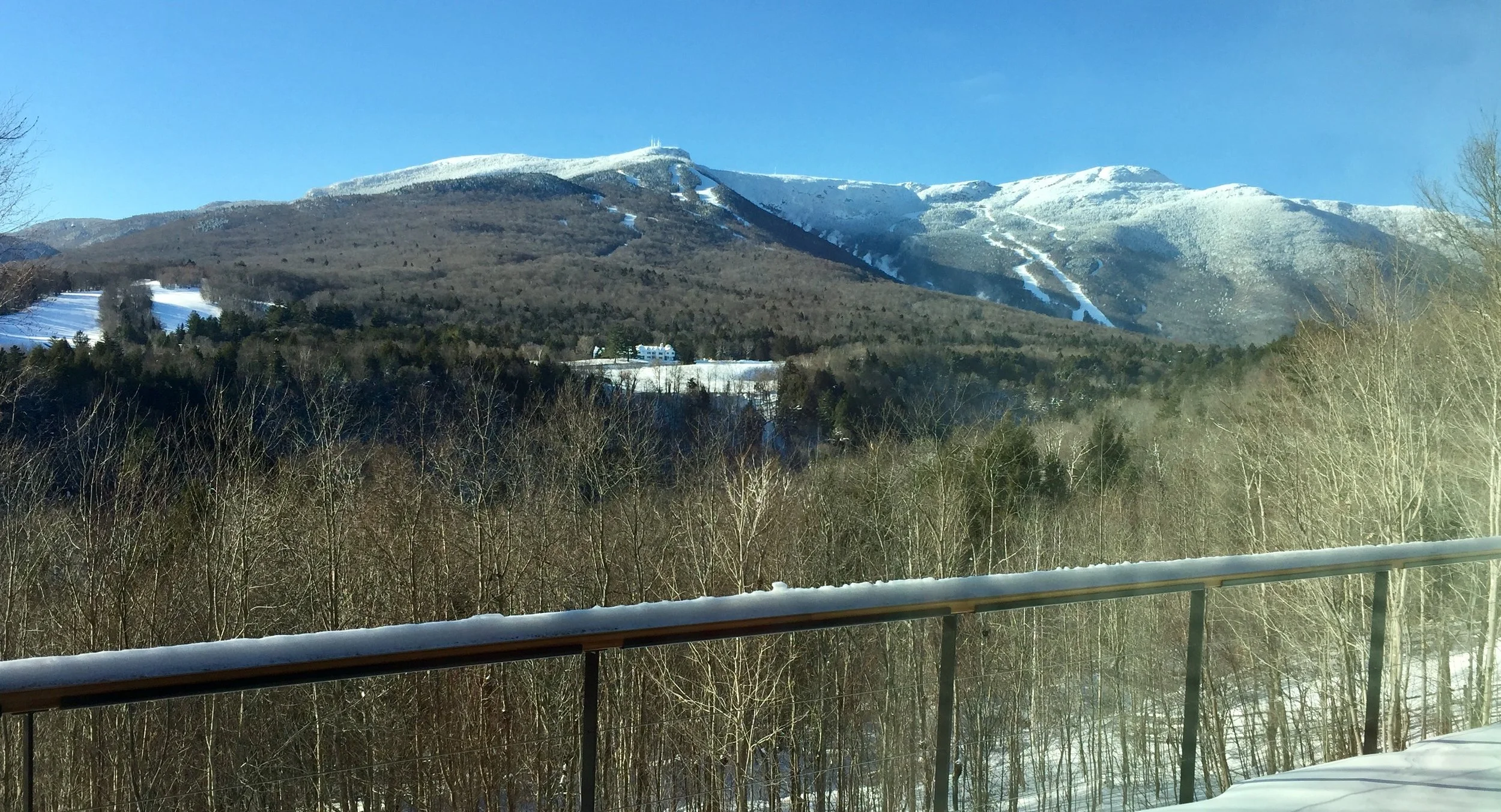 More Info — Stowe Glass House