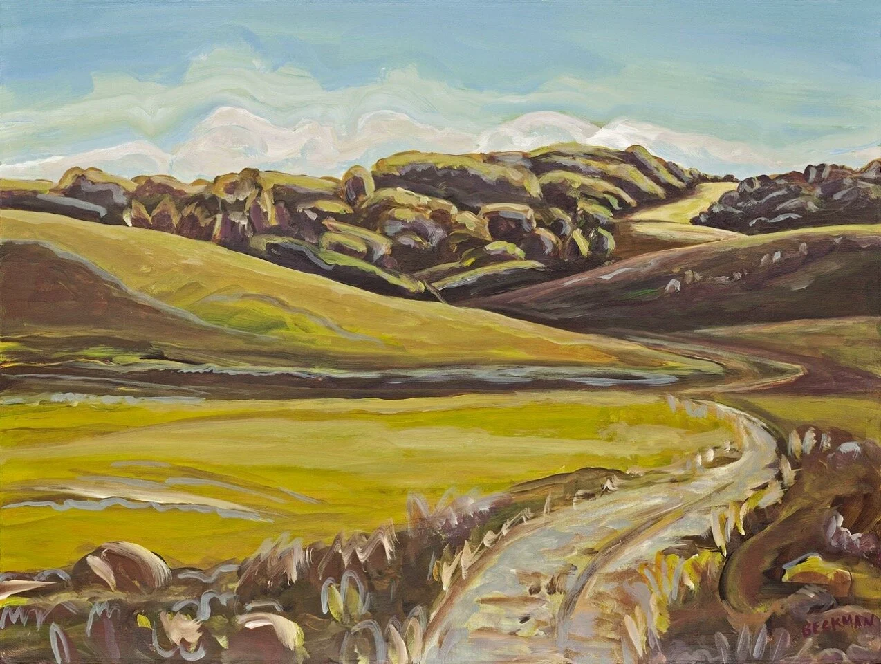 Point Reyes road.jpeg