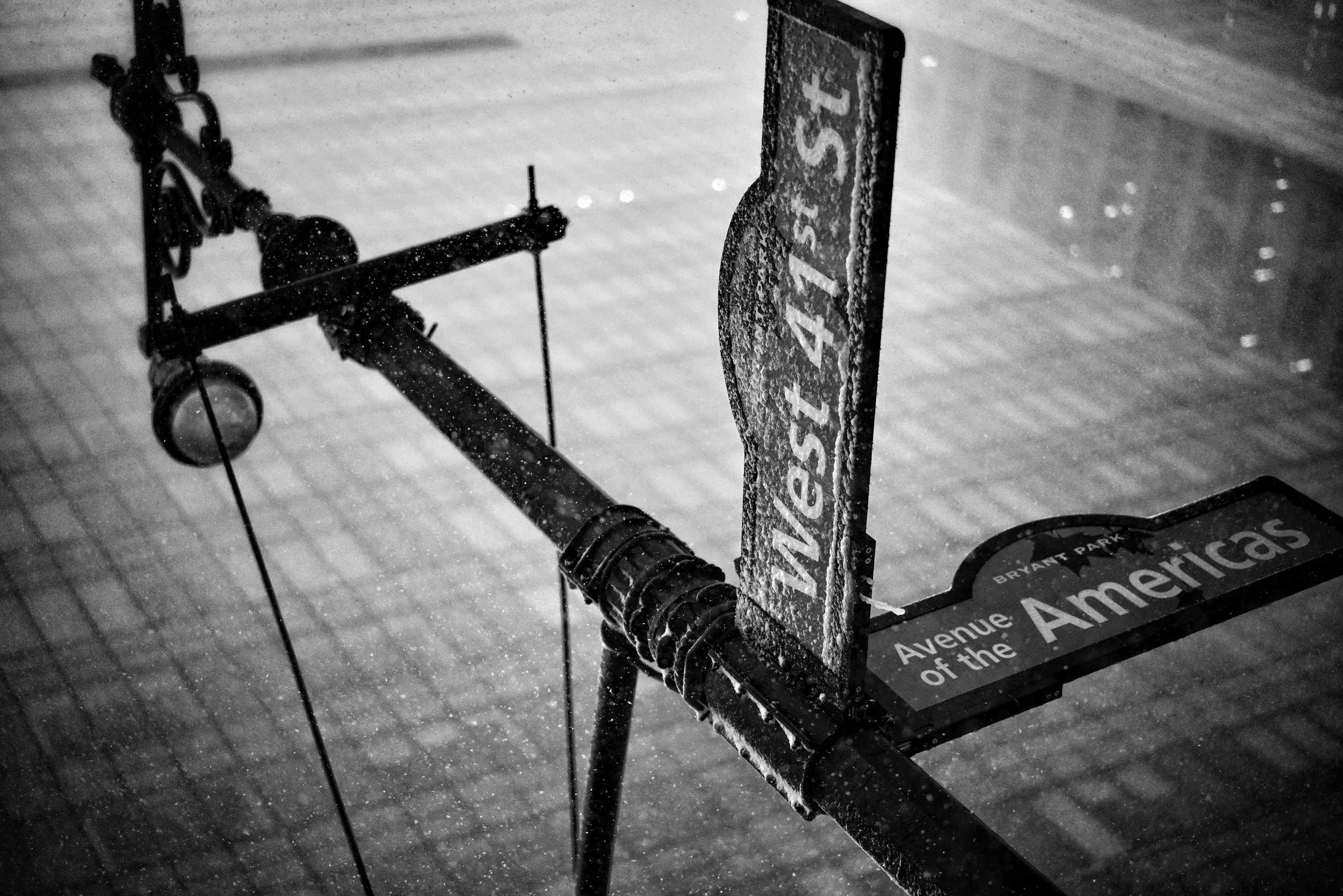DSC03270-01-01.jpg