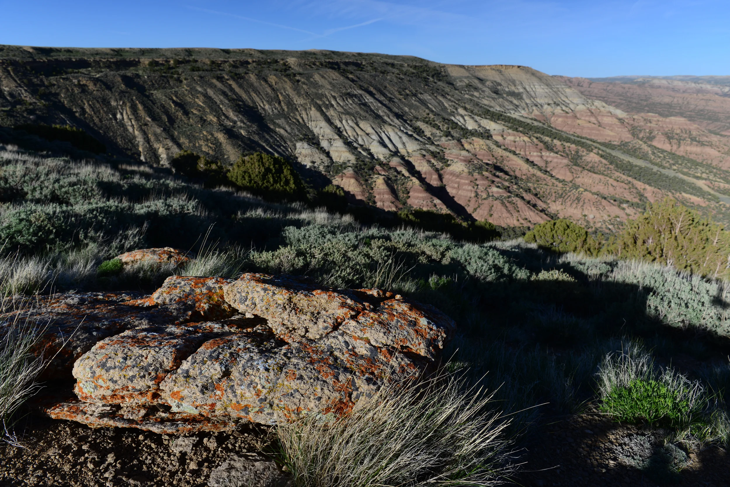 Monte Morlock's Letter to the Editor