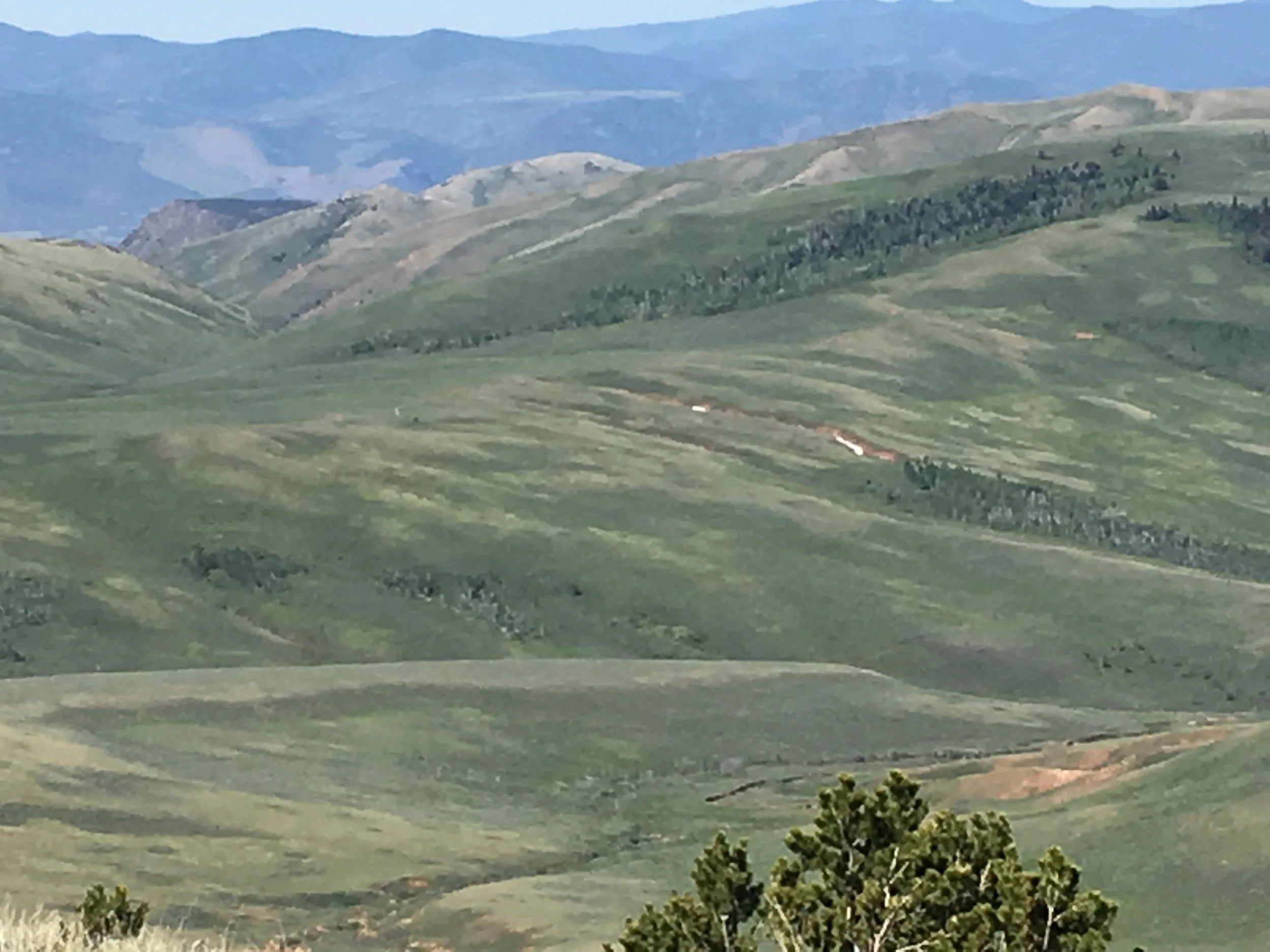 Leinweber, Steffen: Support new approach to conservation