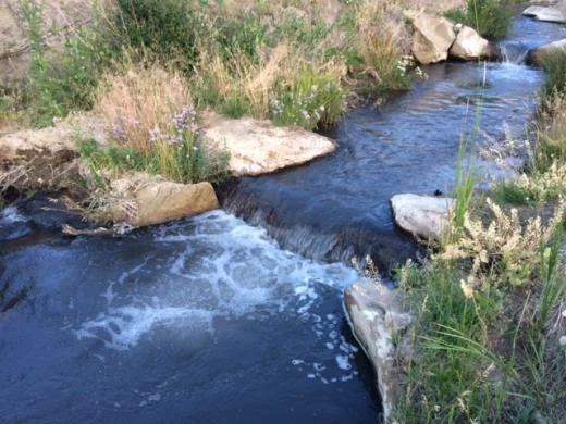 Ranching with cutthroat trout-an excercise in partnership