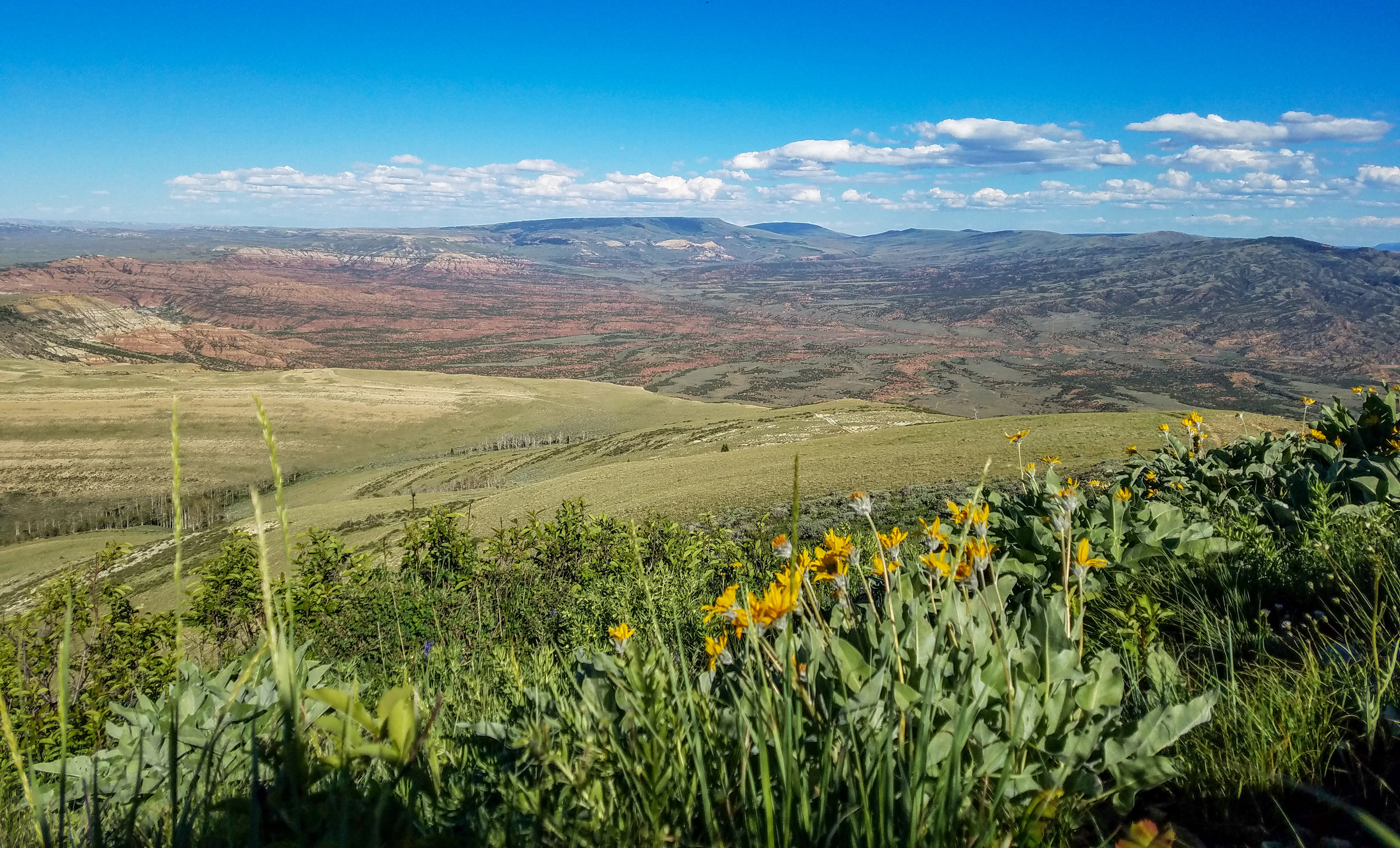 A Huge Win for Greater Little Mountain: 173,000 Acres of Oil and Gas Leases Deferred