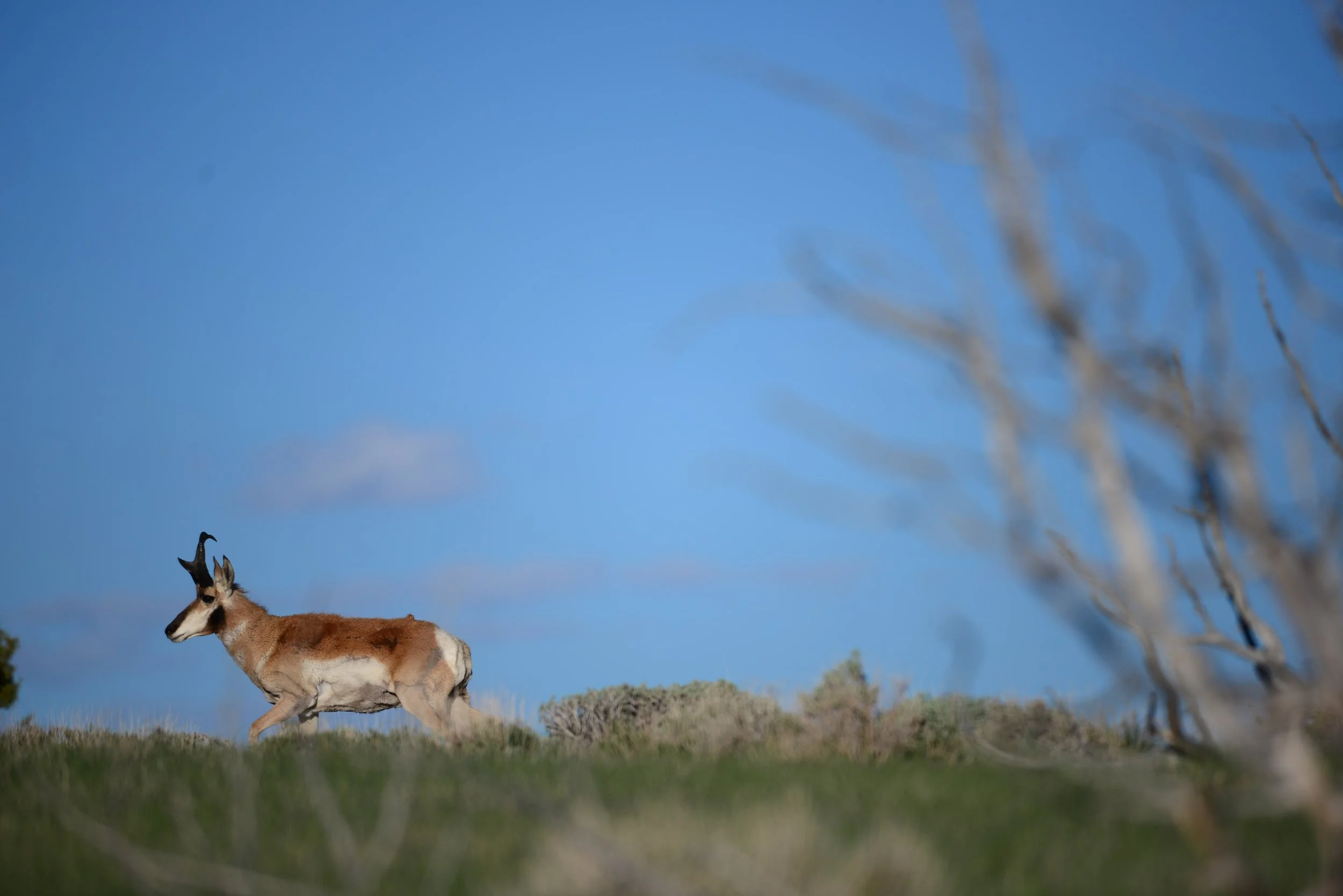 Members of the GLMC Meet with BLM State Director in Cheyenne 