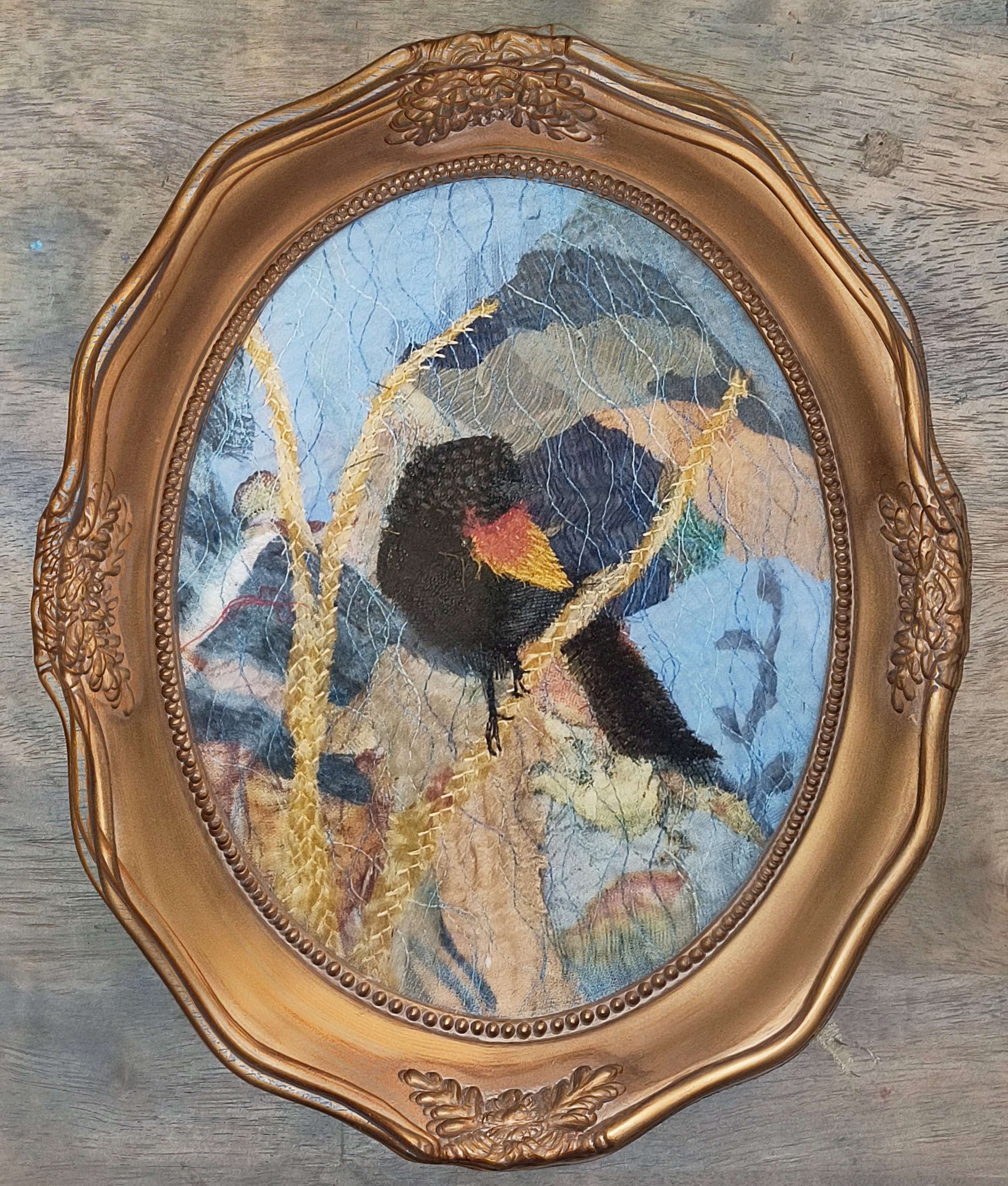 2025 Feb Mr Redwing in frame.jpg