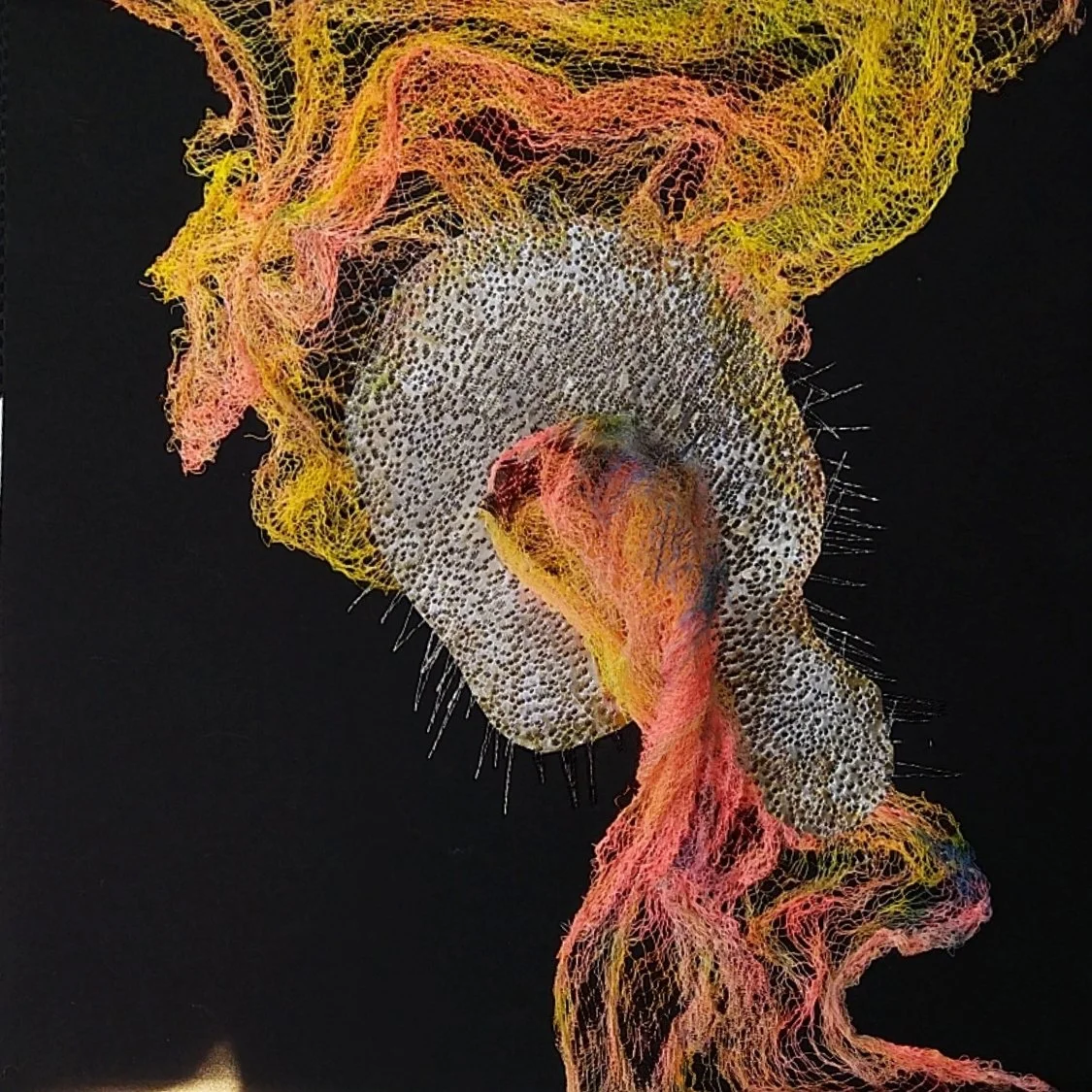 2023-01 Tangled in the Vortex.jpg