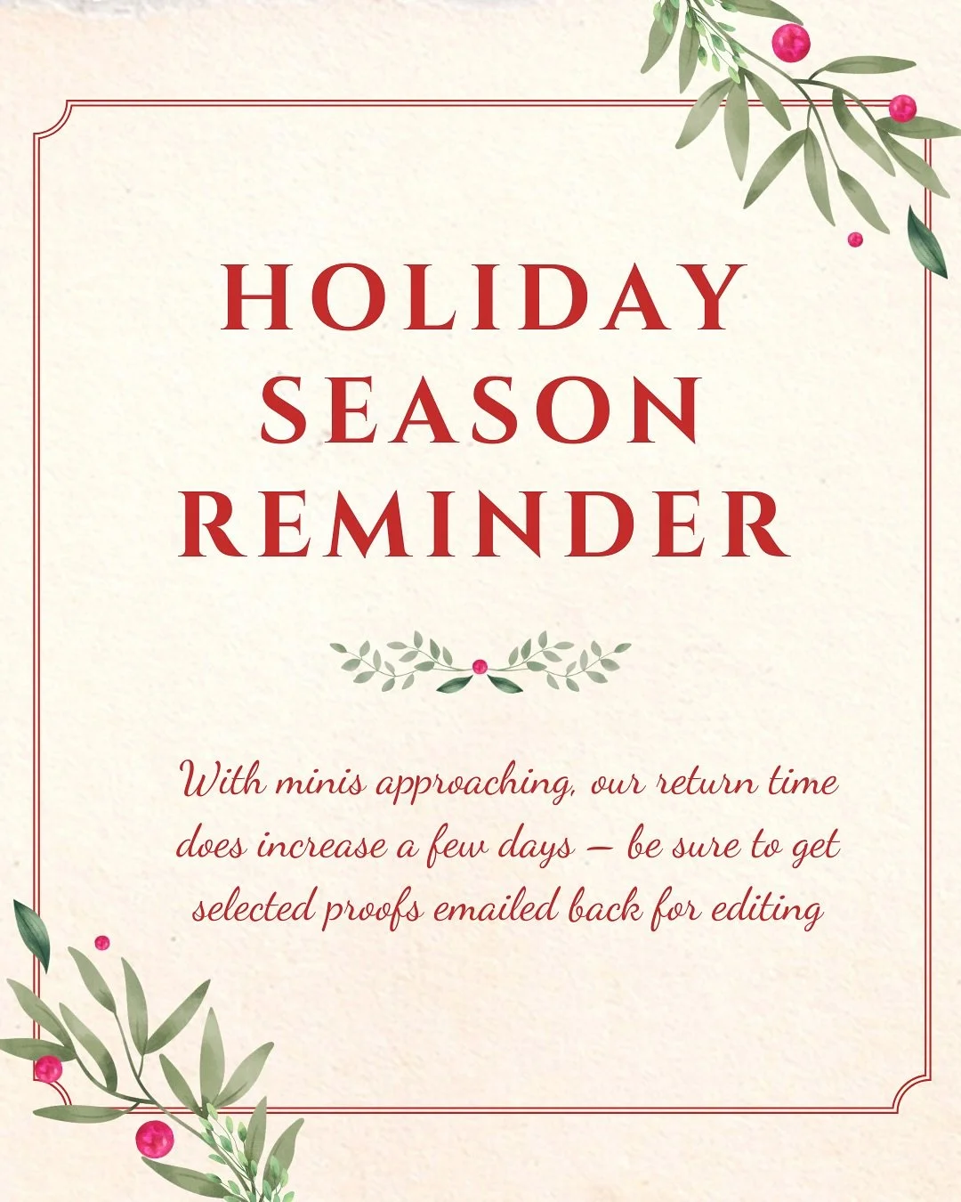 Friendly Reminders ✨
&bull; Holiday season means our return times extend to 5&ndash;7 days. The sooner you send back your selected proofs via email, the sooner your final edits will be delivered.
&bull; Any albums pending 4+ weeks after receiving you