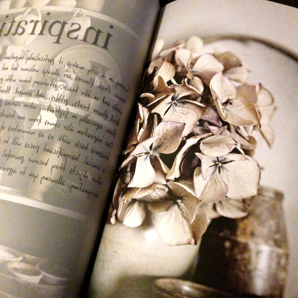 Beautiful book " A Life Less Ordinary ", from co-owners of i gigi general store .