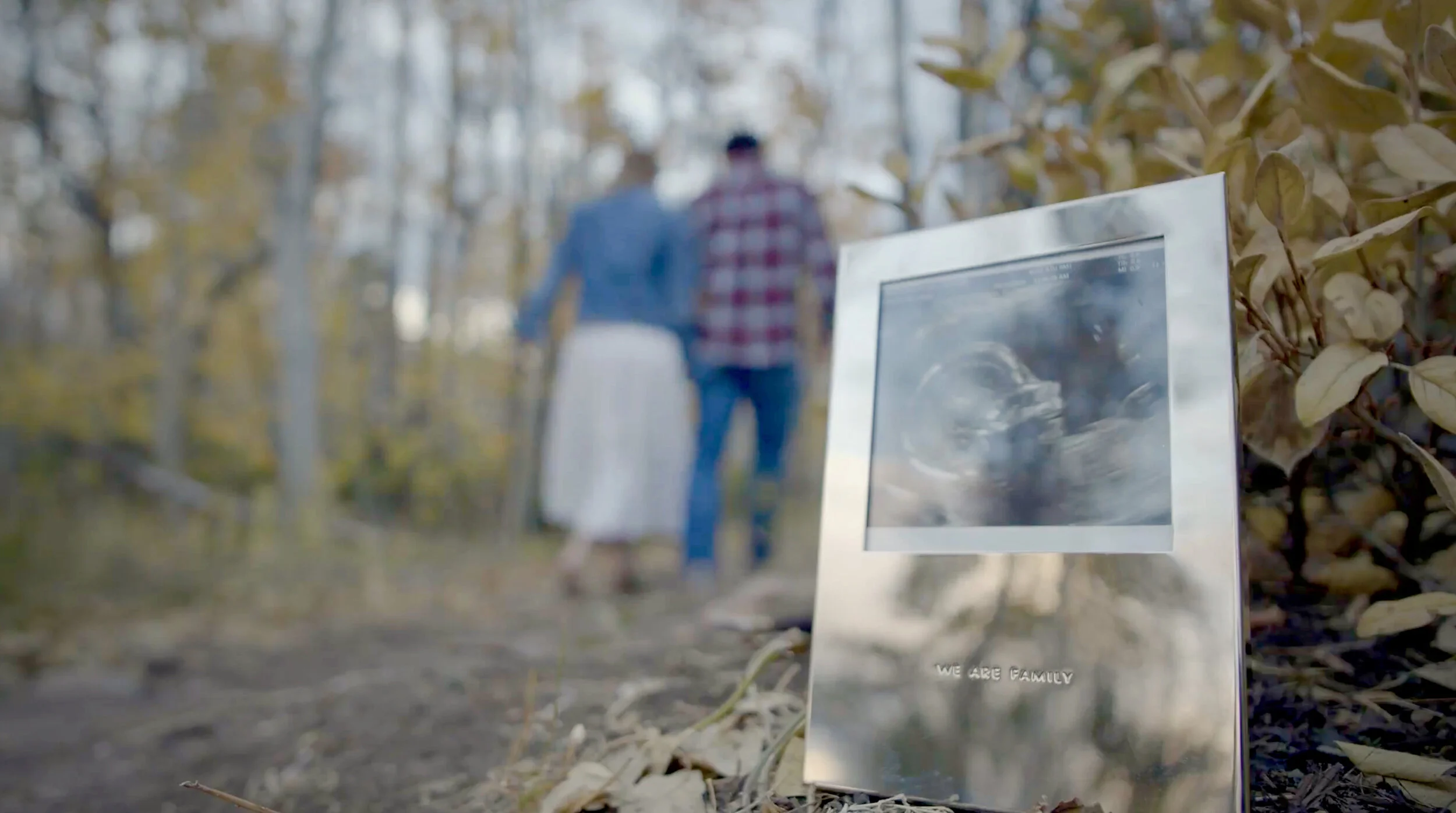 Screen Shot 2020-10-03 at 8.11.12 PM.jpeg