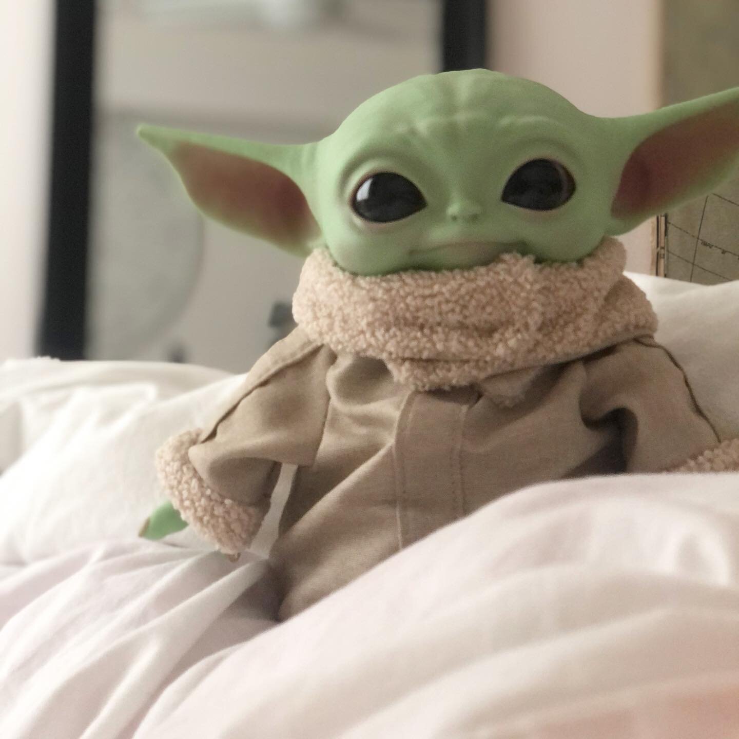 Part V: We fell in love with baby Yoda.