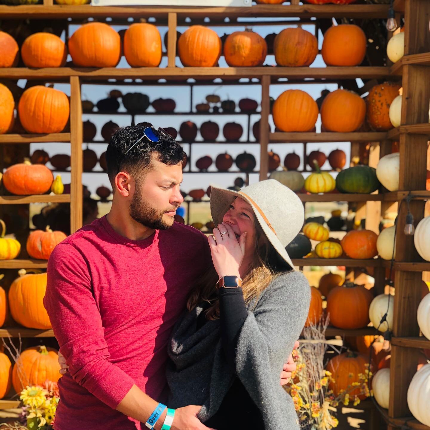 Part VII: We bought pumpkins 🎃 which were quickly devoured by the squirrels 🐿