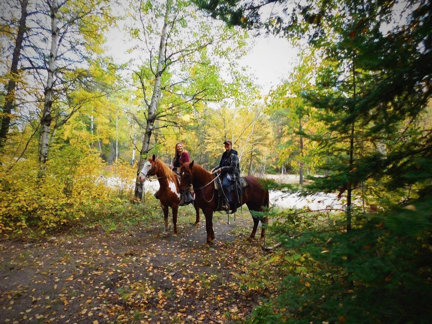 Sure is pretty out on the trails right now! 🍂

Heads up that this is the last weekend for group rides and child riders (under 12 years old)

After Thanksgiving Monday, we&rsquo;re still open for youth and adult riders for private rides (you and your