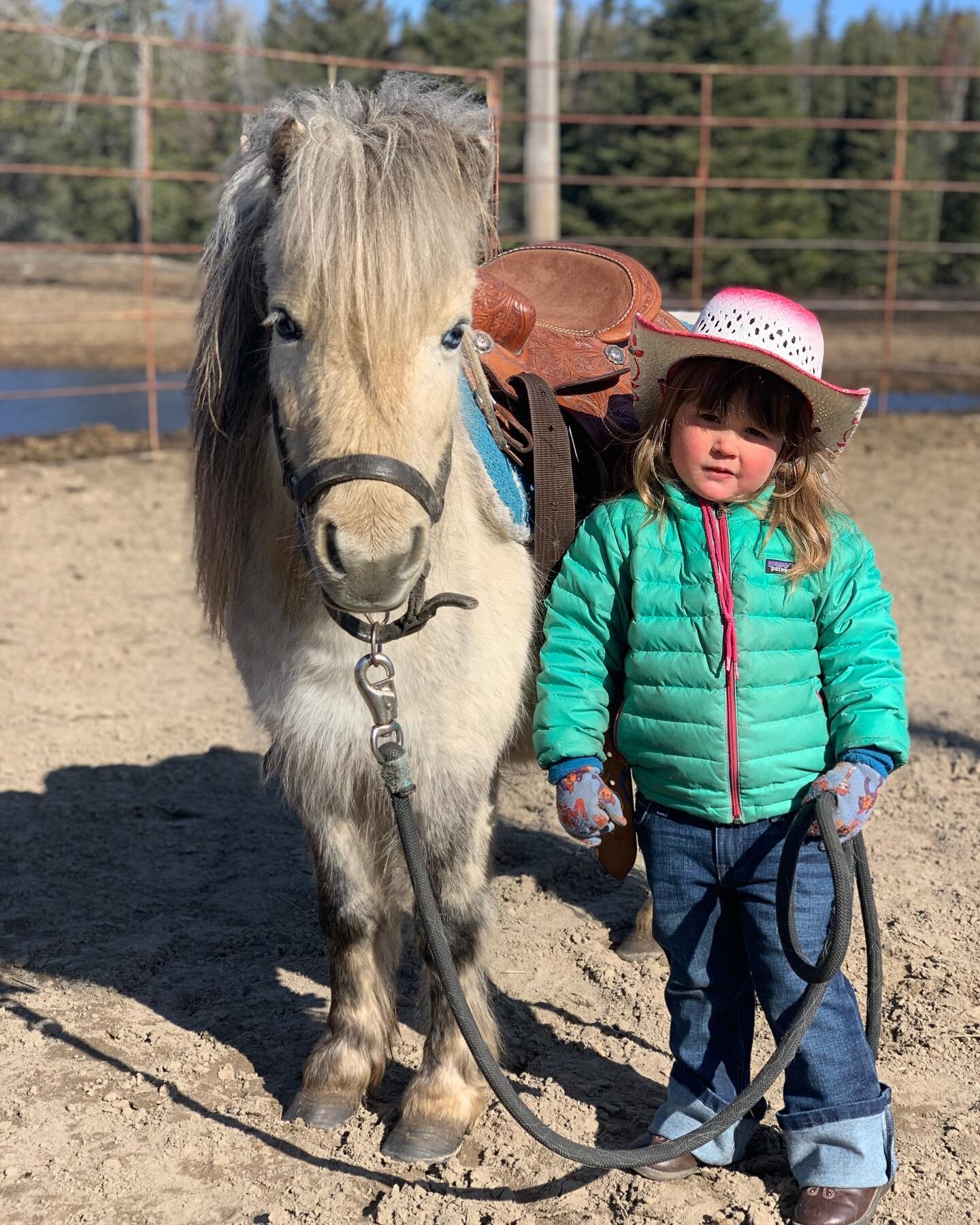 The trails are snow + ice free, the rest of the horses have returned from their fall/winter holiday, and we&rsquo;re once again welcoming young horseback and pony riders!

Please reserve your ride in advance; find details from link in bio.