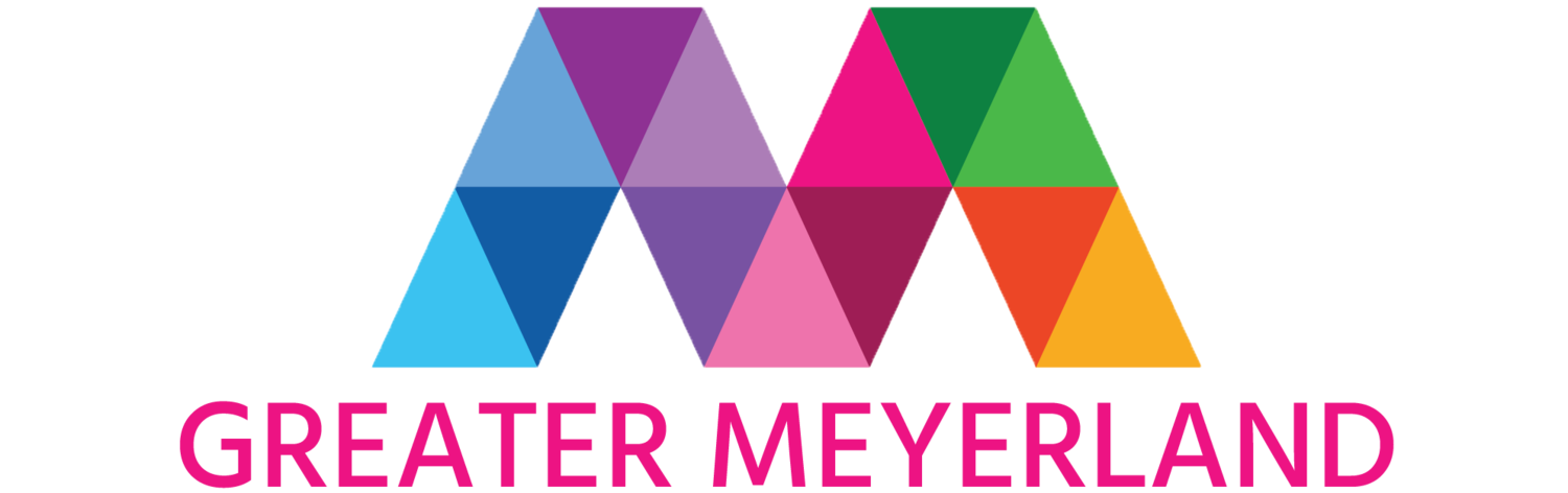 Greater Meyerland Area