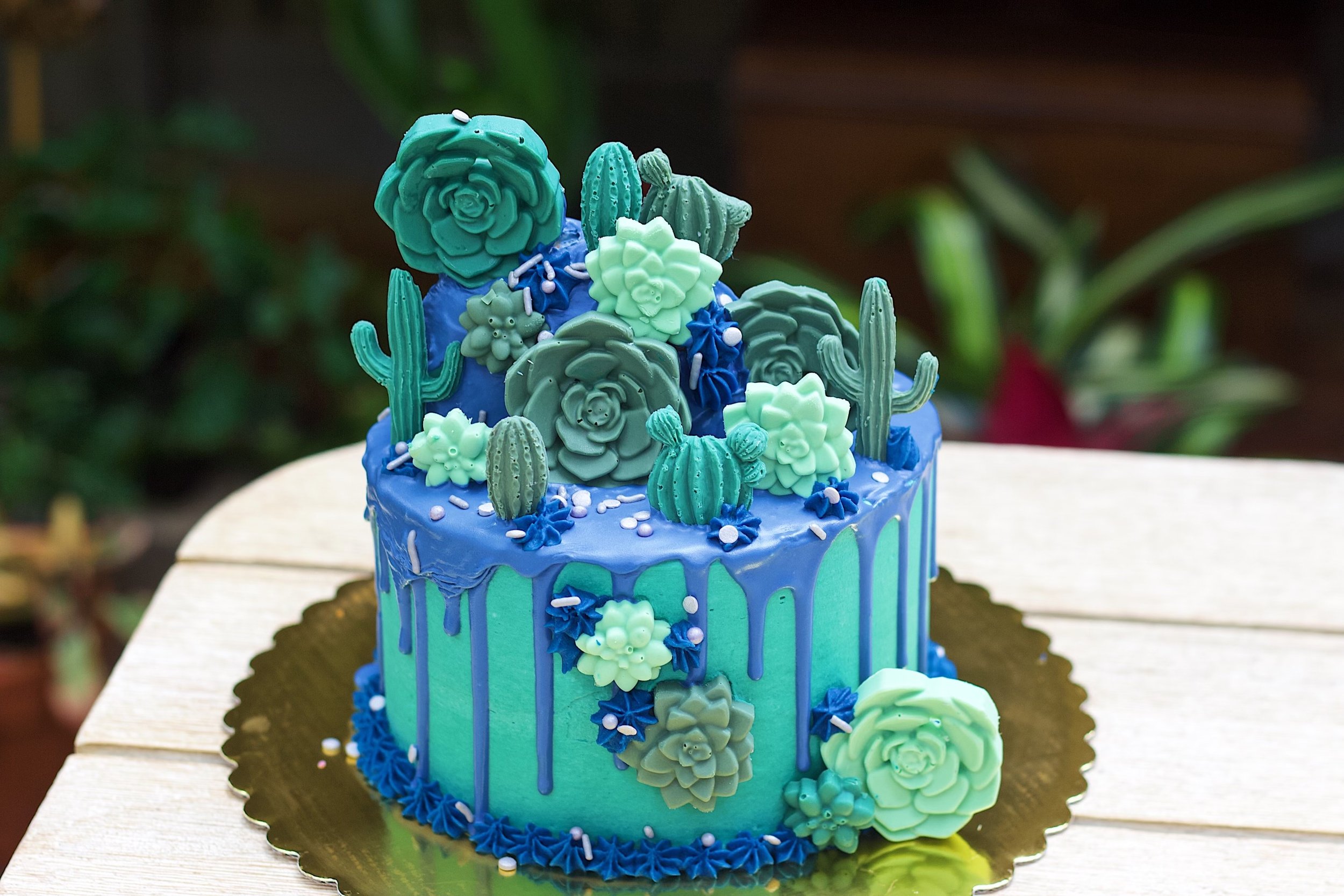 cacti cake.jpeg