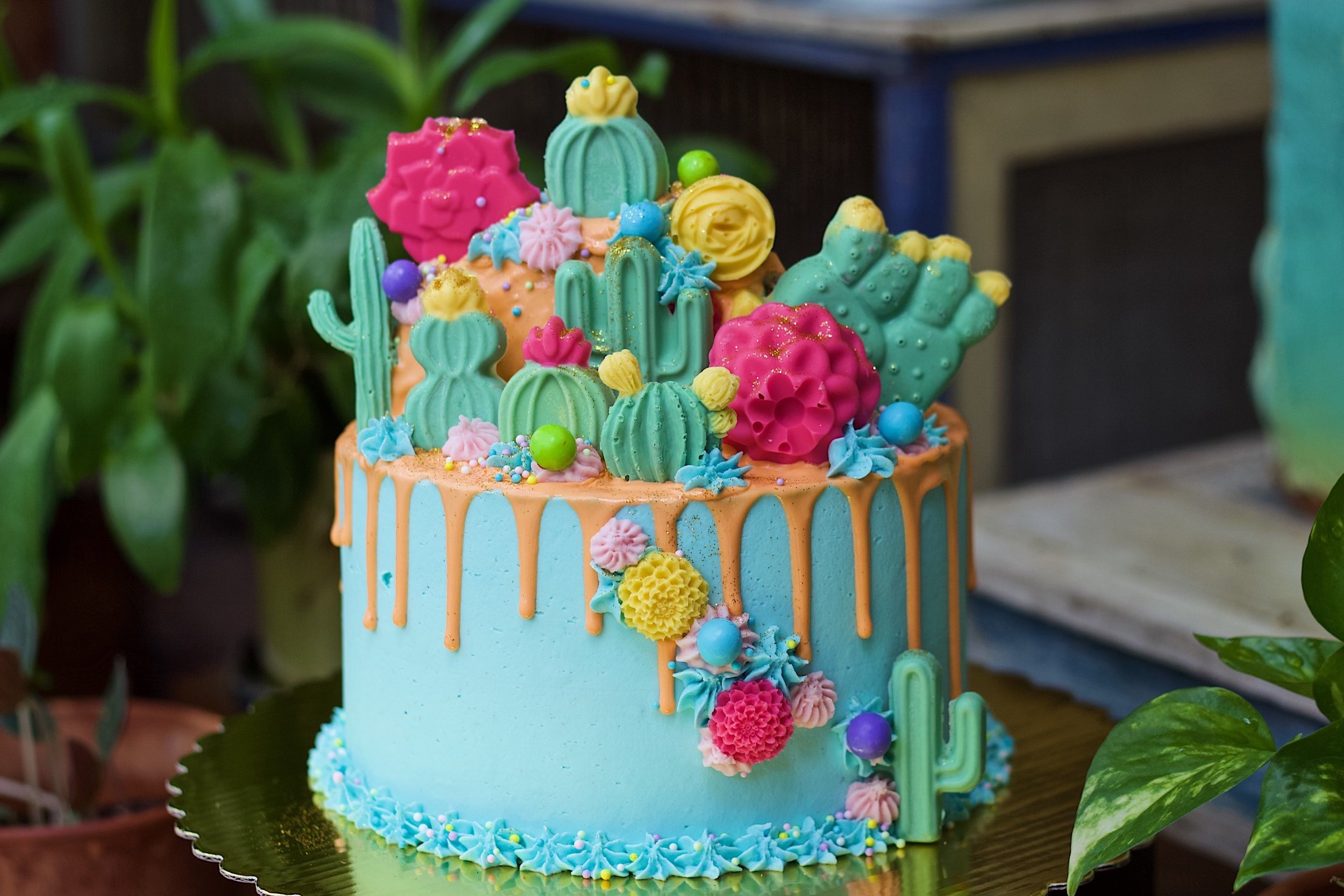 cactus cake.jpeg