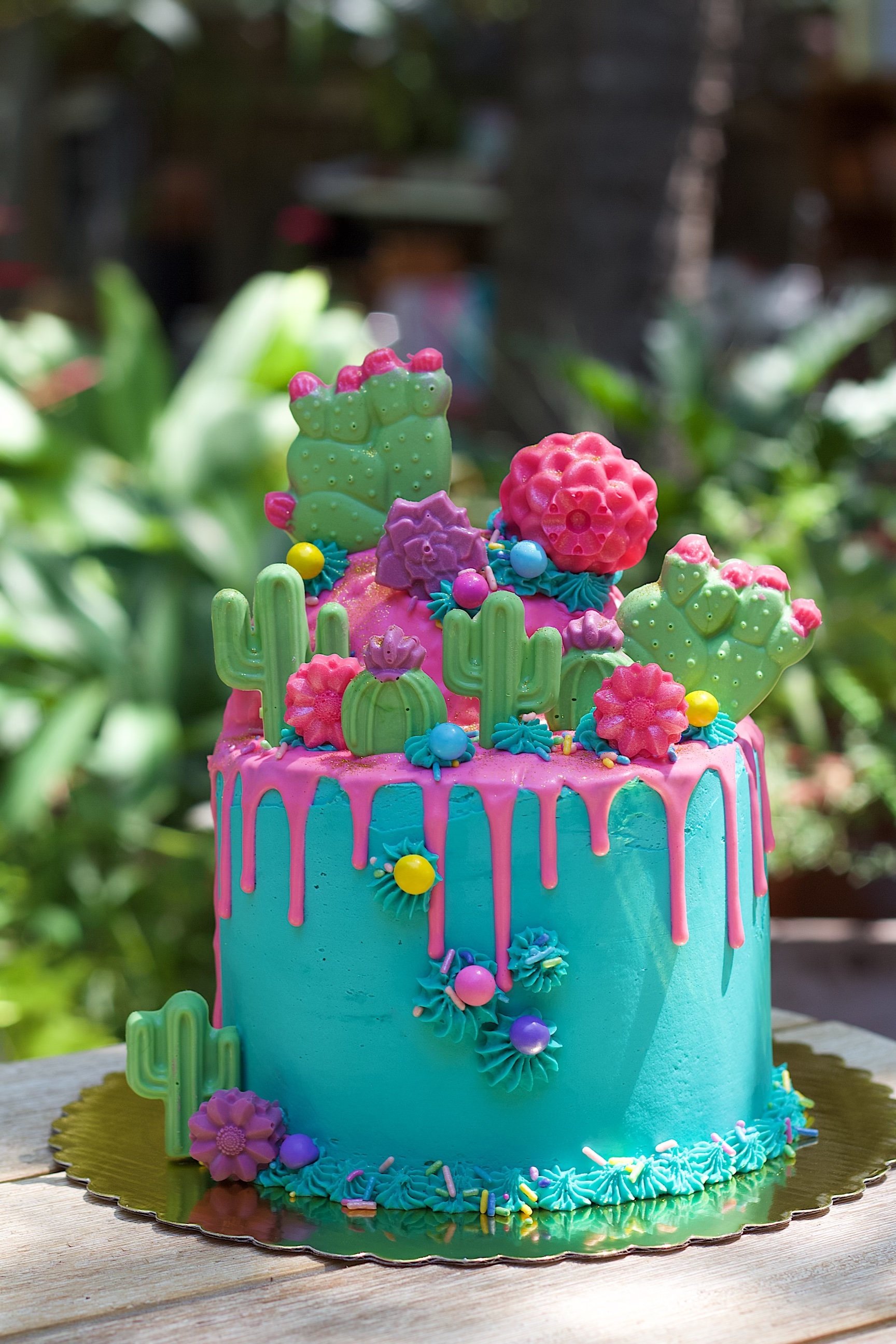 cacti cake2.jpeg