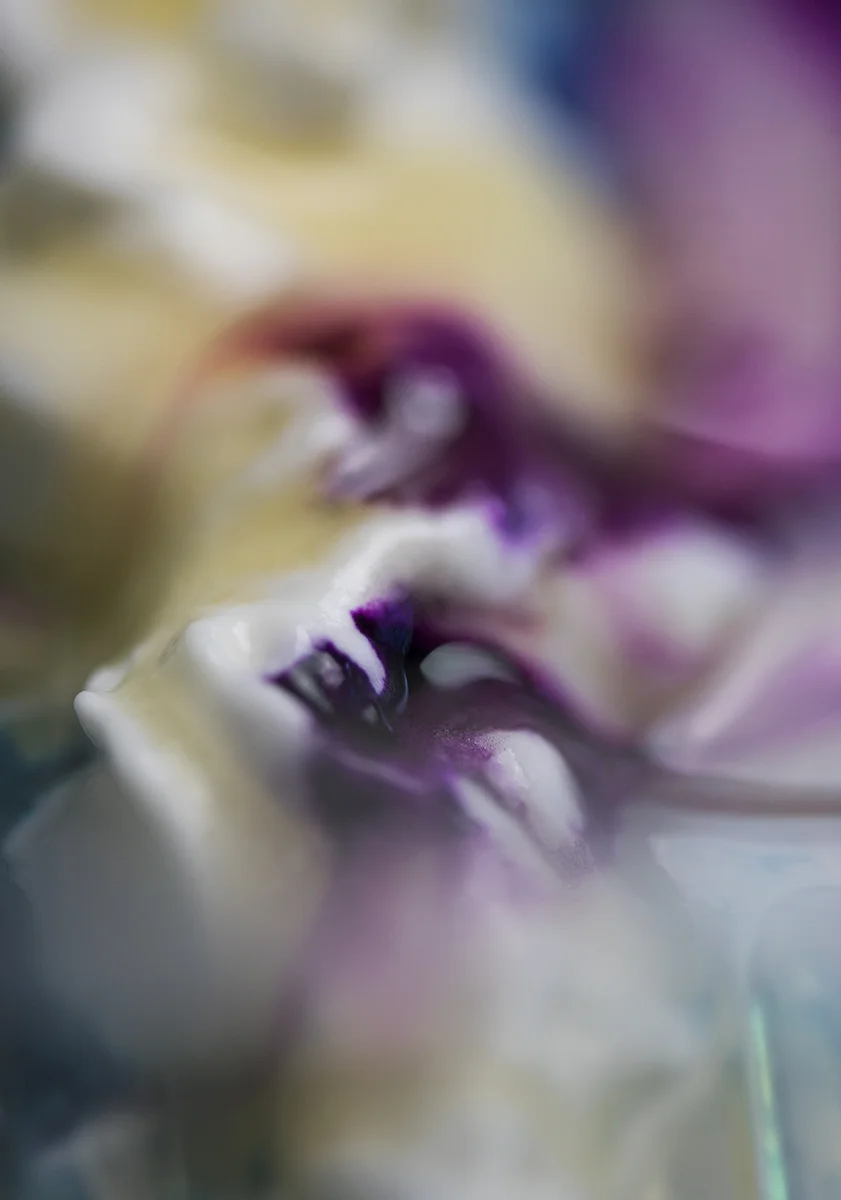 DSC_0116_web.jpg