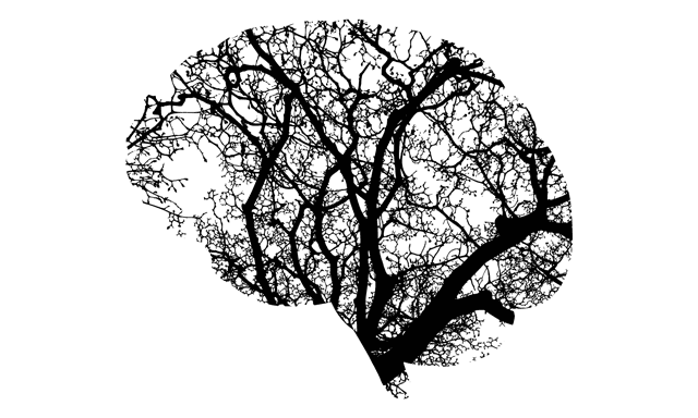 brain-2146817_1280_small.png